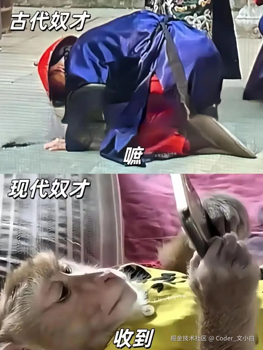 Coder_文小白于2024-07-29 09:16发布的图片