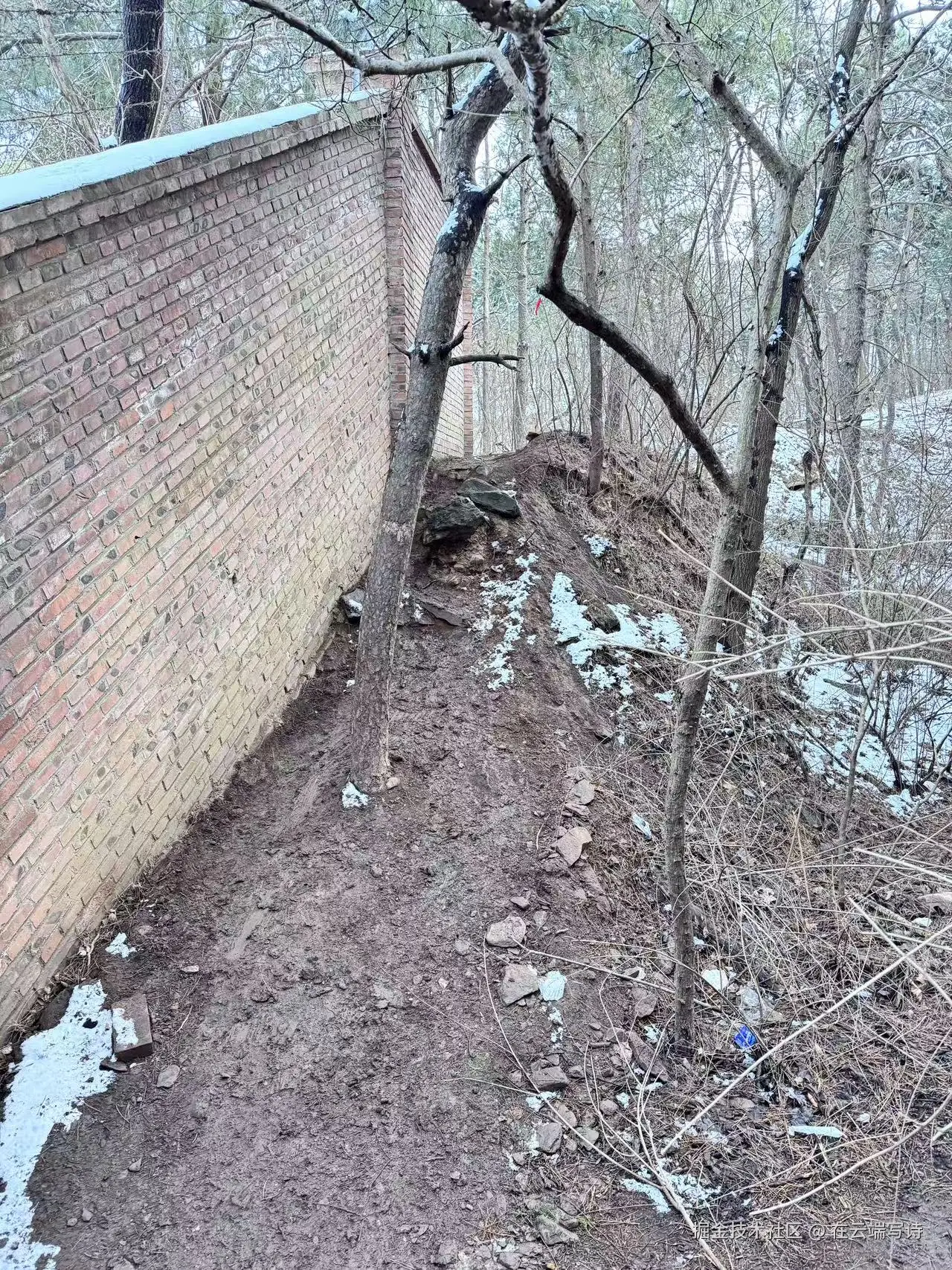 在云端写诗于2026-03-09 10:38发布的图片