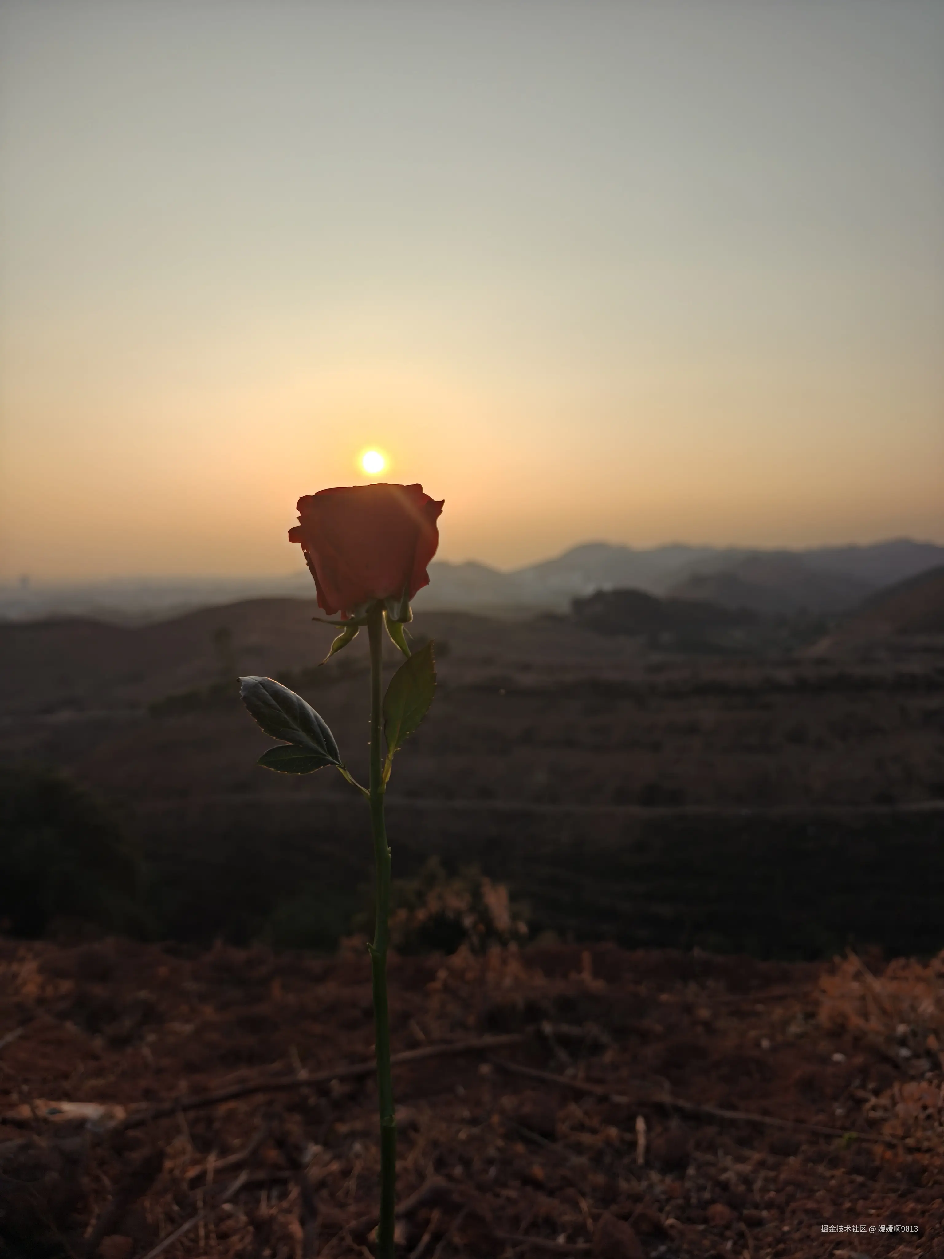 媛媛啊9813于2026-02-25 16:50发布的图片