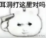 Tyro于2025-03-25 09:38发布的图片