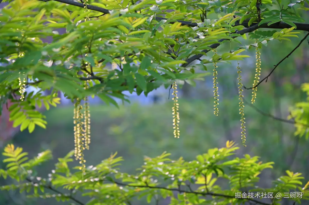 三碗呀于2025-04-18 11:13发布的图片