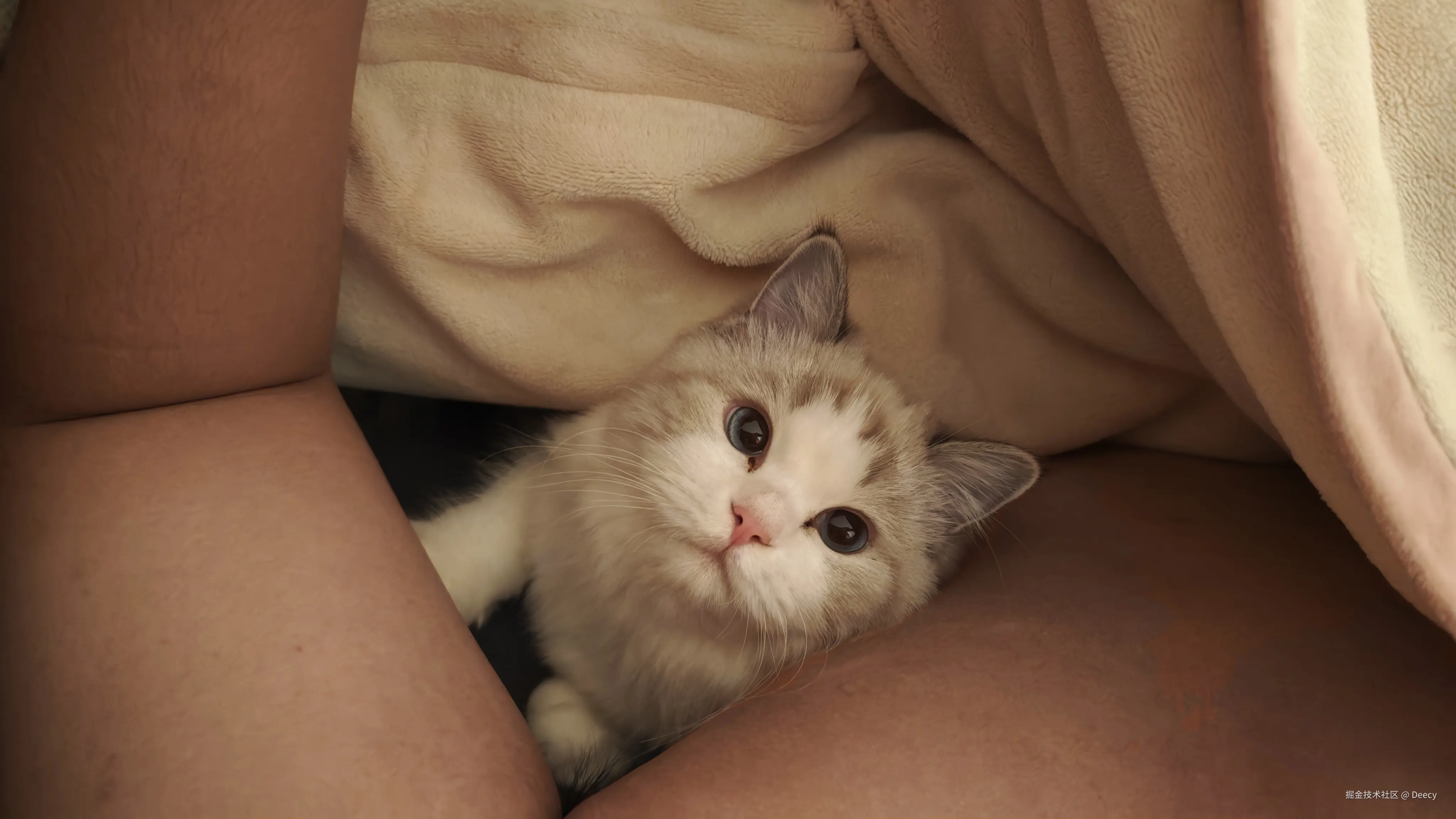 Deecy于2025-11-20 06:42发布的图片