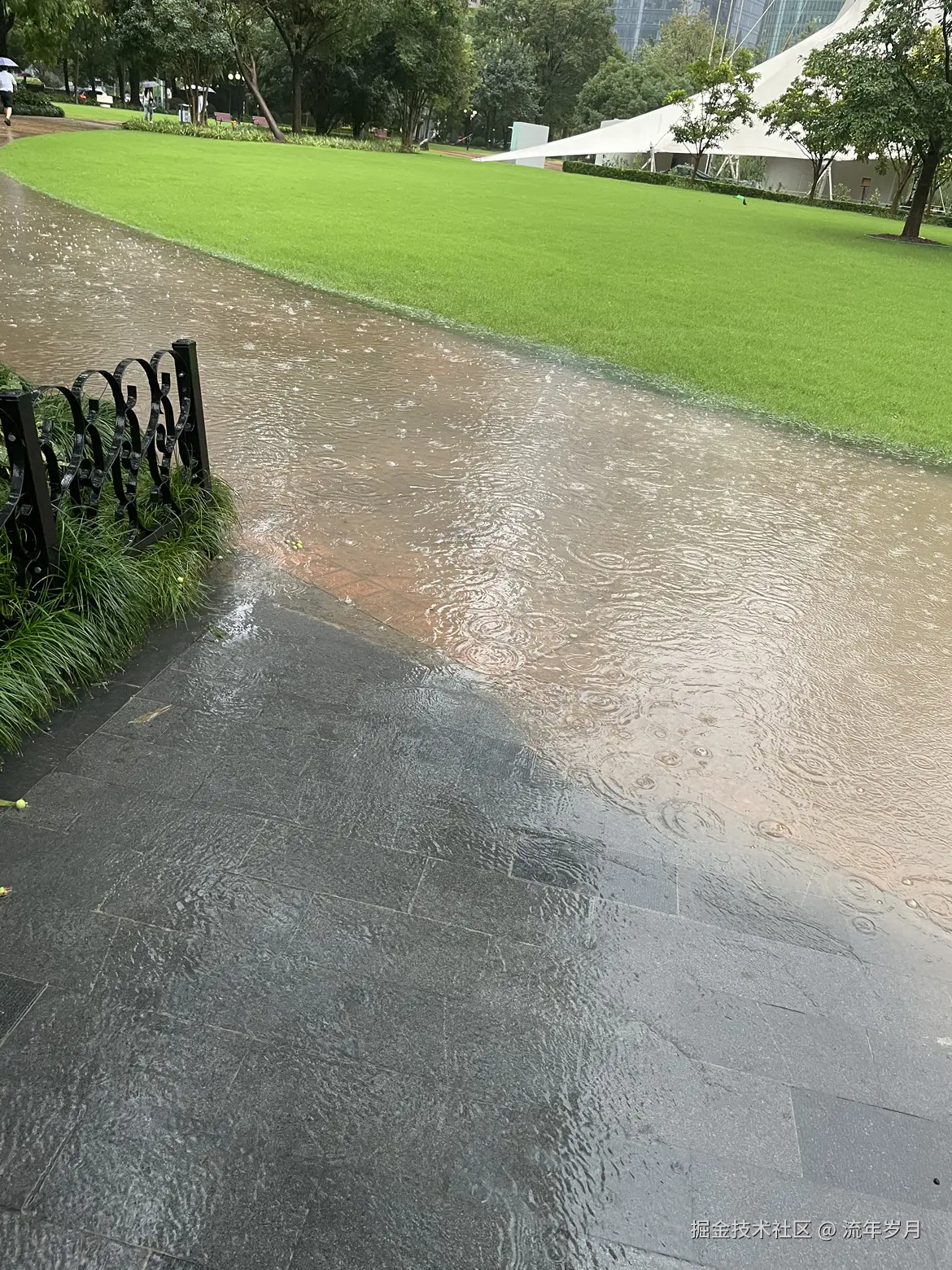 流年岁月于2024-09-20 19:52发布的图片