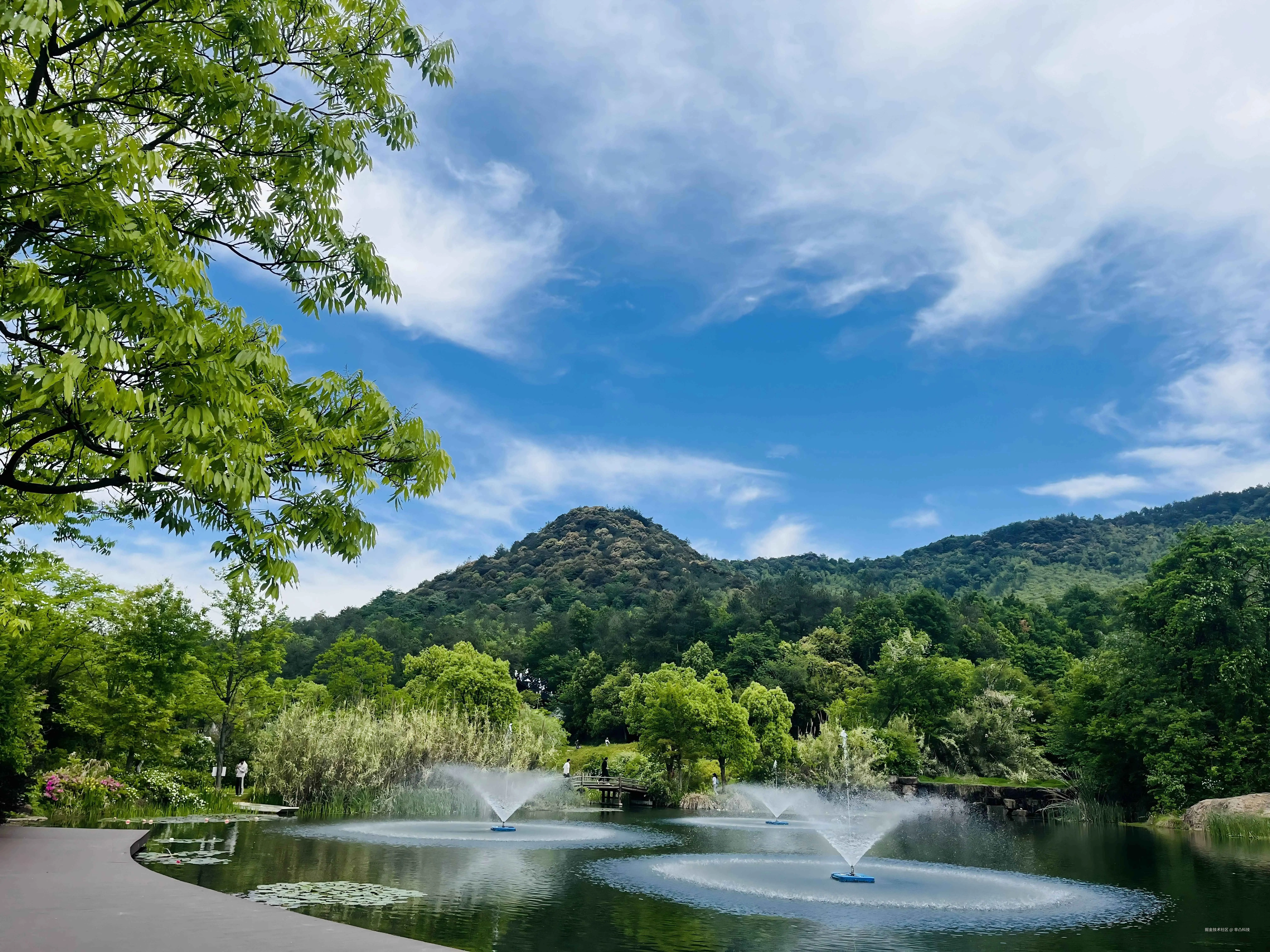 非凸科技于2025-04-30 05:08发布的图片