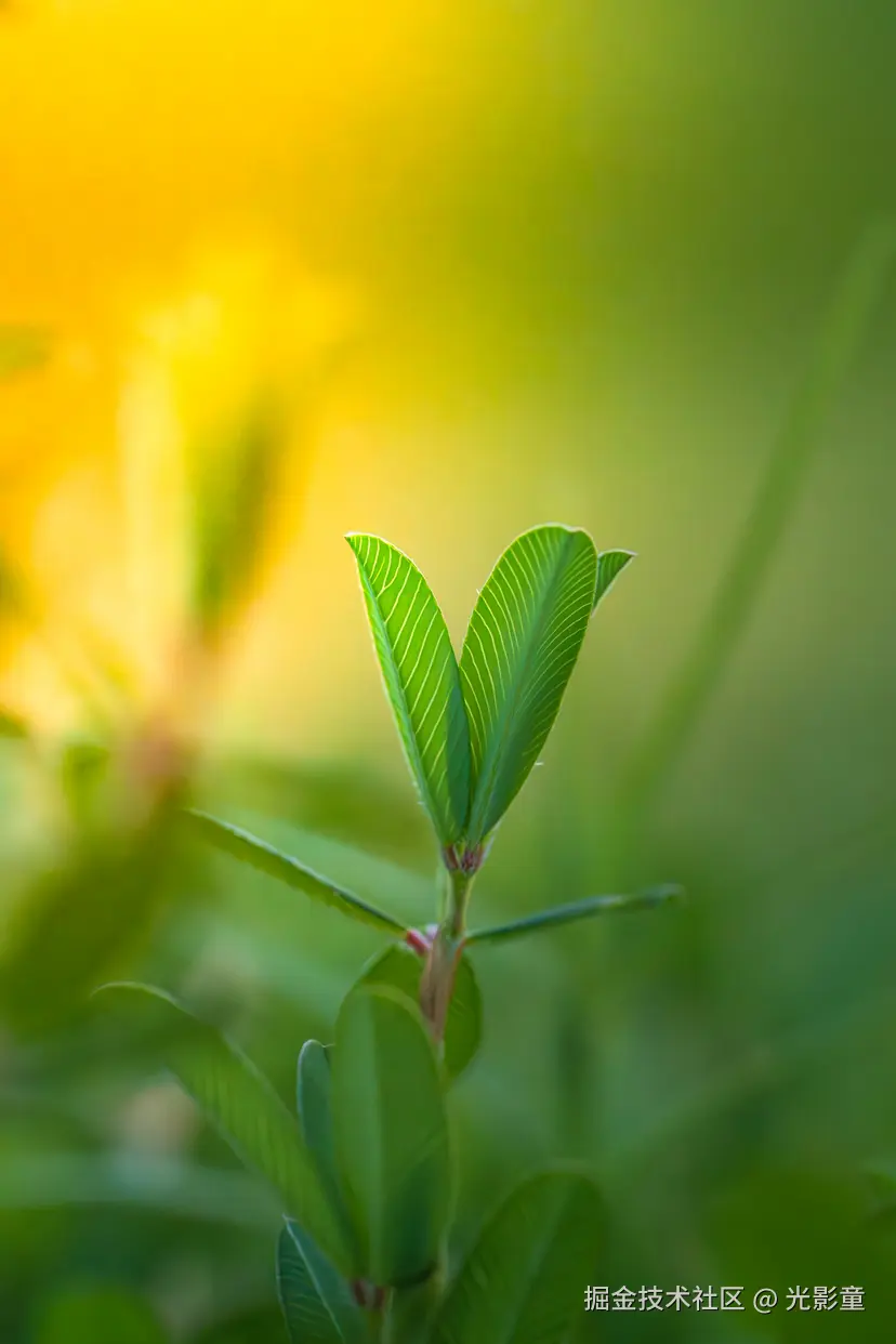 光影童于2025-07-29 10:11发布的图片