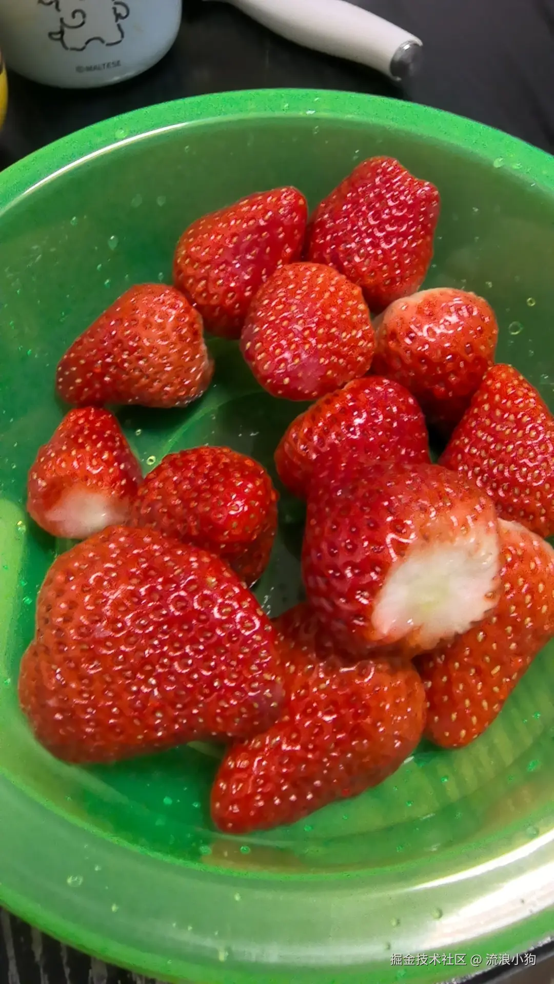 流浪小狗于2024-12-09 16:06发布的图片