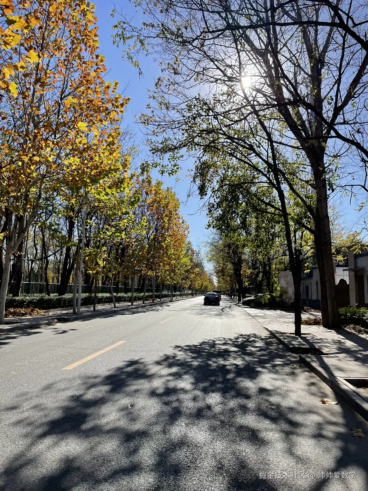 帅帅爱数学于2024-11-17 04:41发布的图片