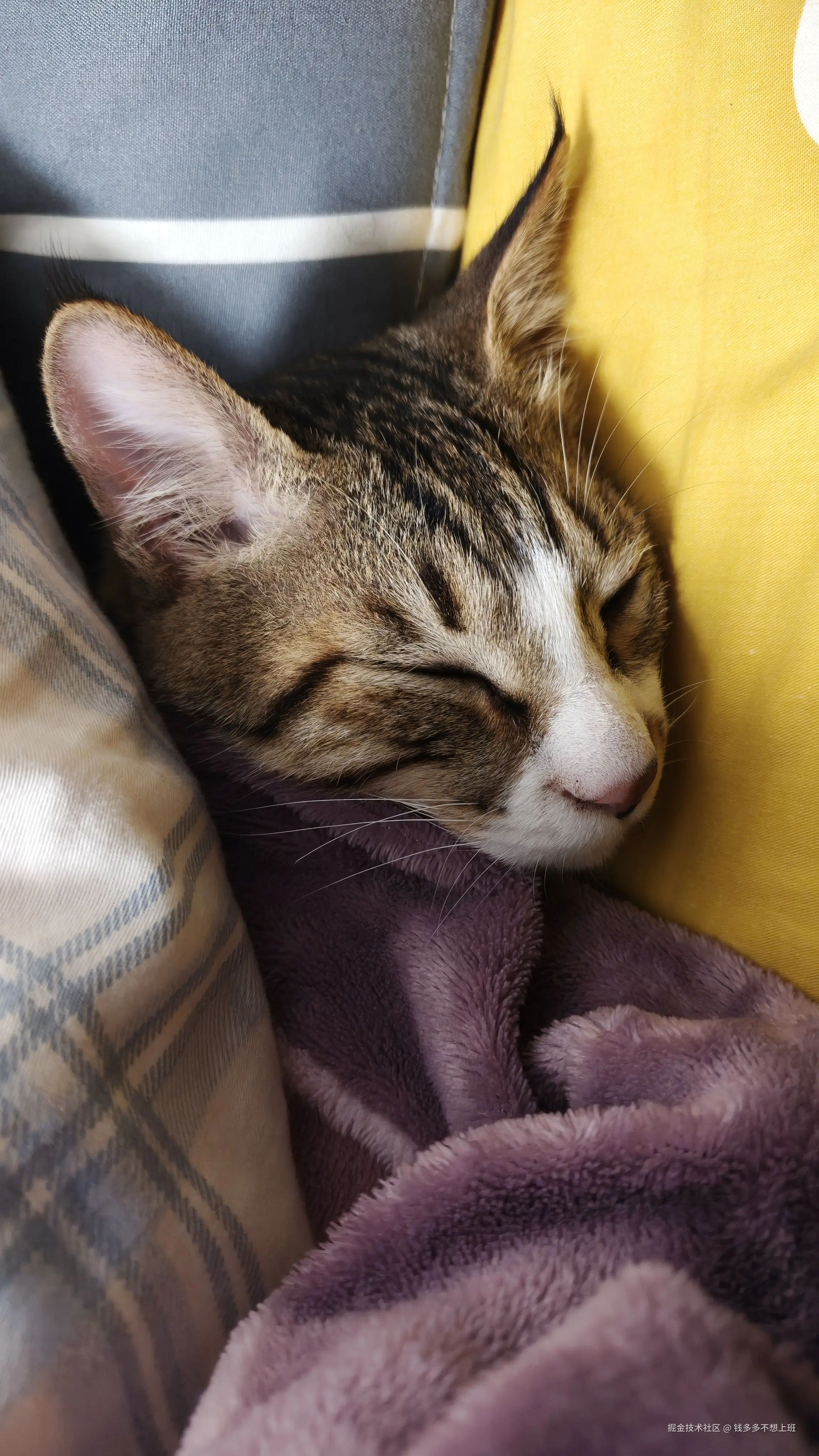 钱多多不想上班于2026-01-26 01:13发布的图片