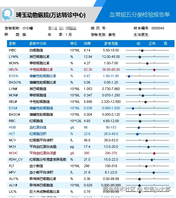 空条jo太郎于2025-11-11 07:42发布的图片