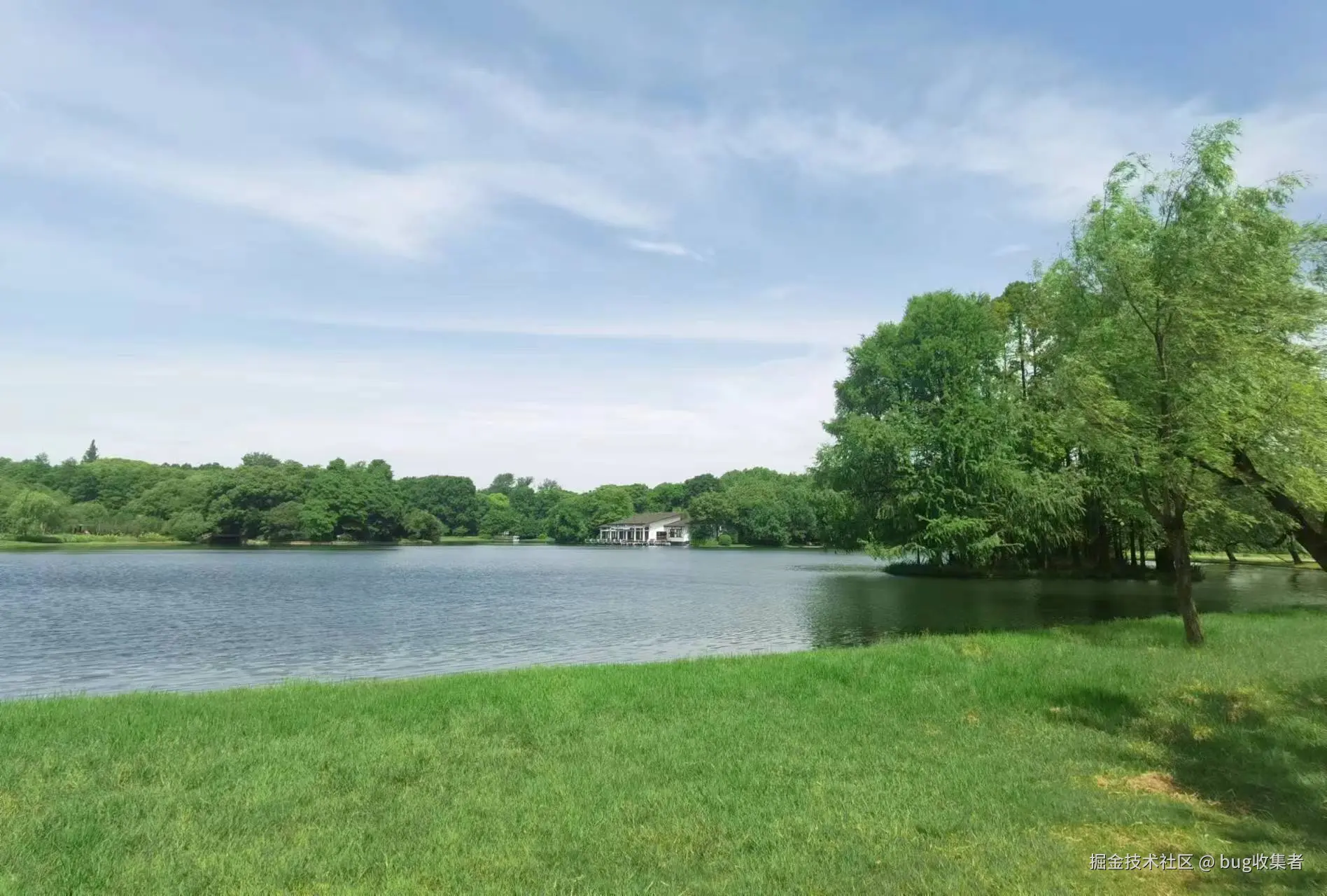 bug收集者于2024-07-20 17:29发布的图片