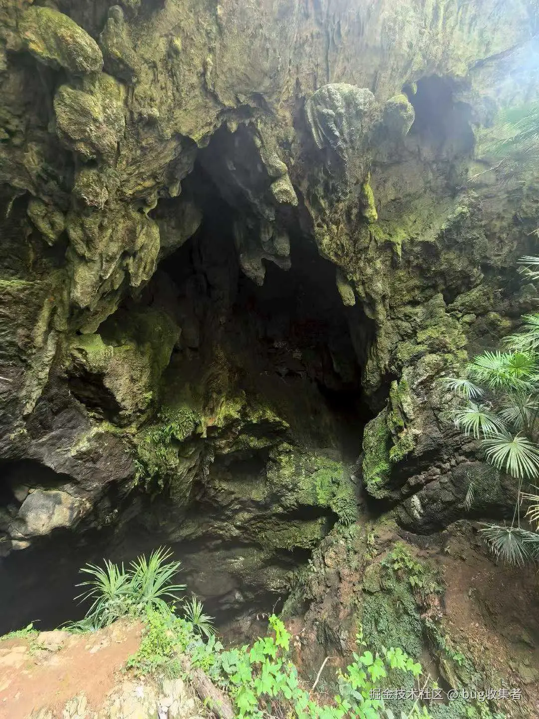 bug收集者于2025-08-11 11:32发布的图片