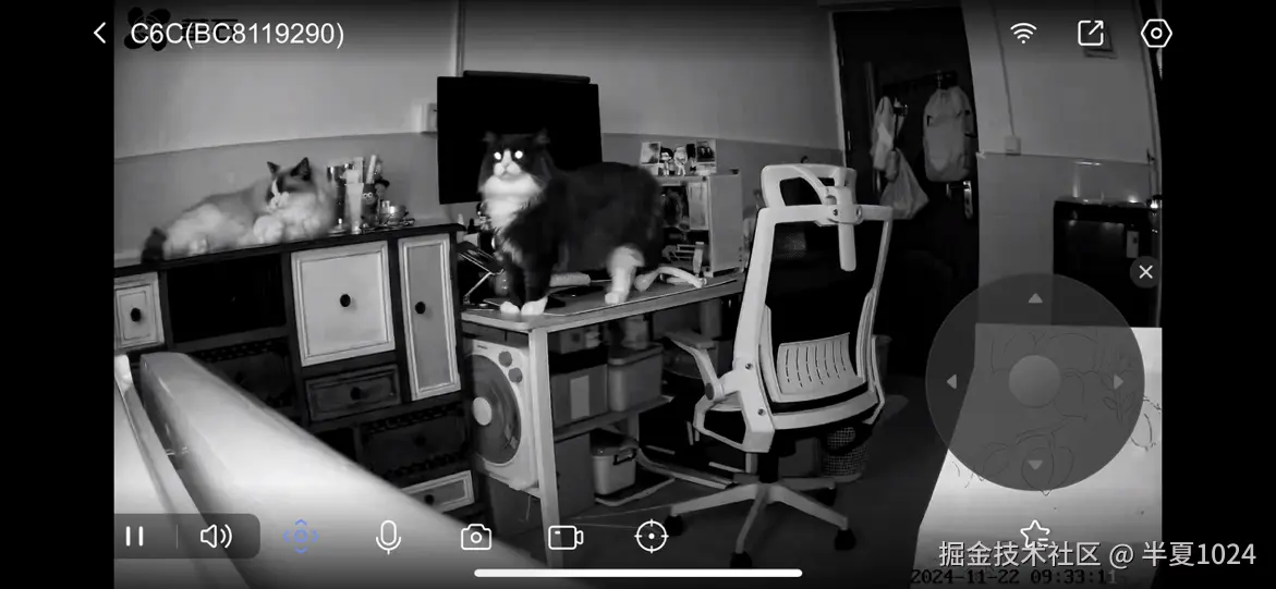 半夏1024于2024-11-22 01:35发布的图片