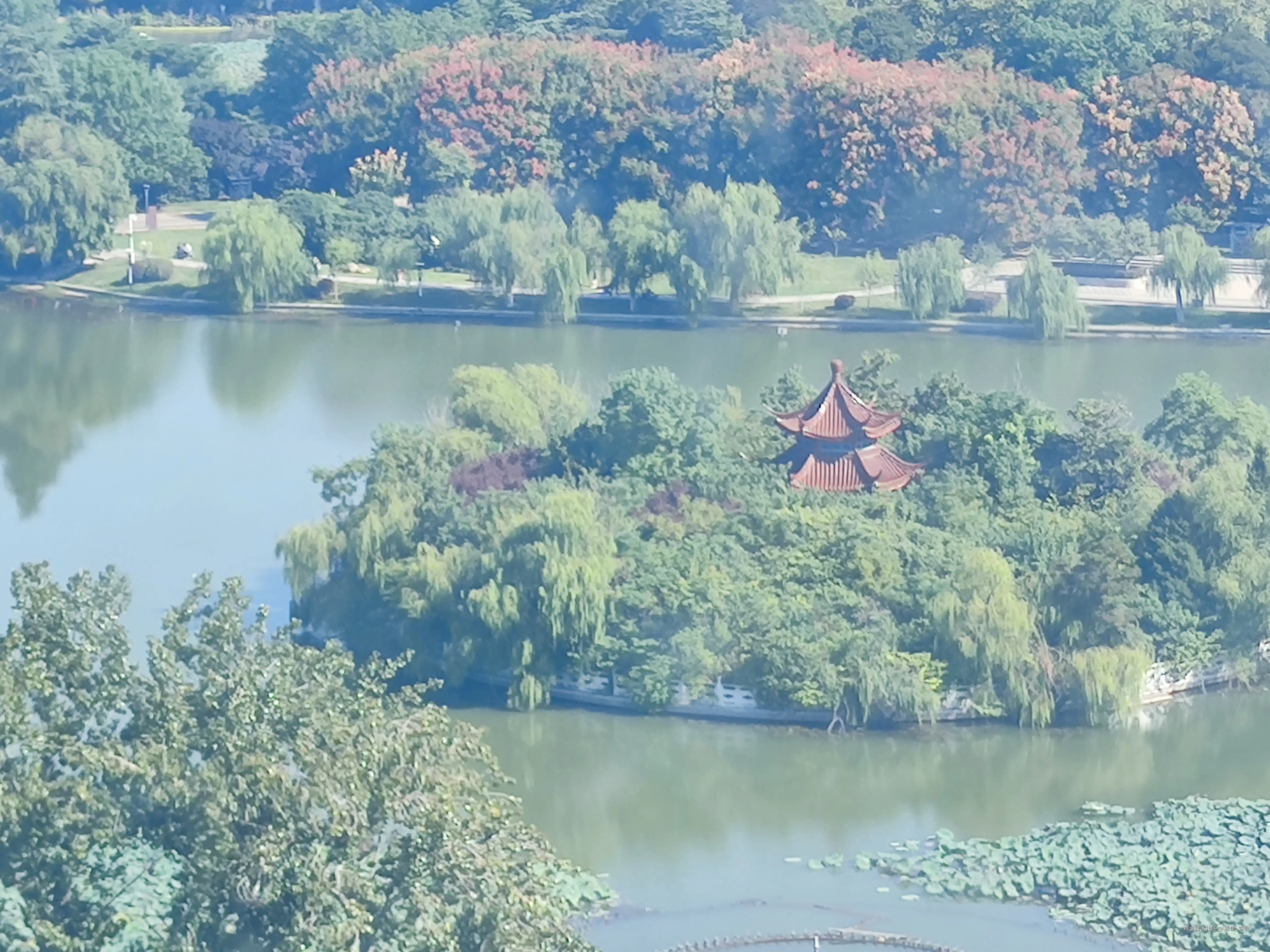 希望_睿智于2024-10-03 21:52发布的图片