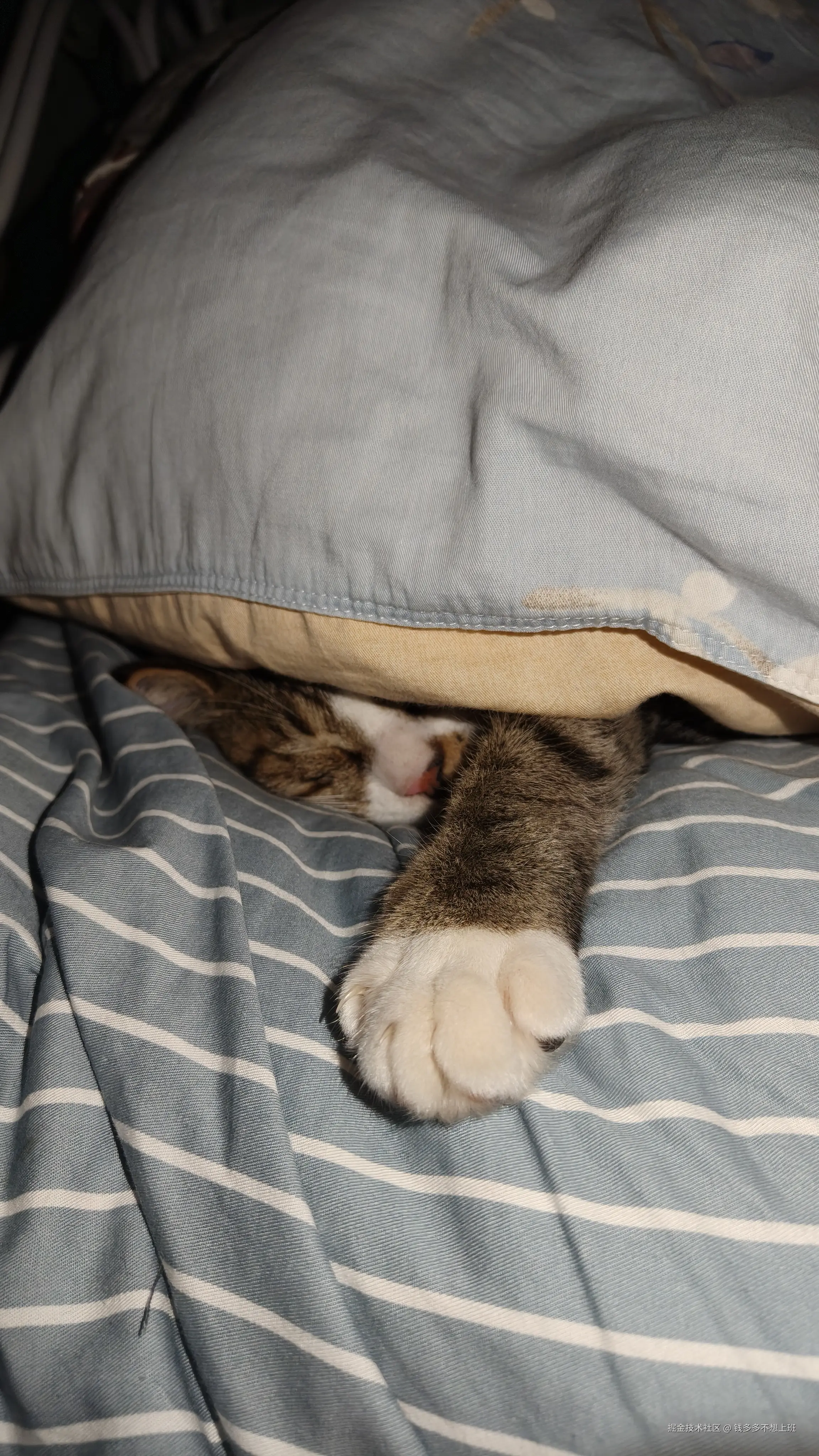 钱多多不想上班于2025-10-20 10:26发布的图片