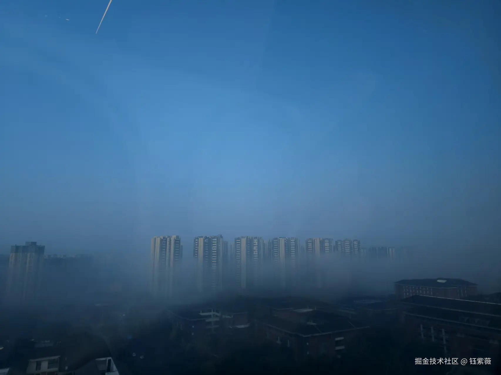 钰紫薇于2025-11-27 09:38发布的图片