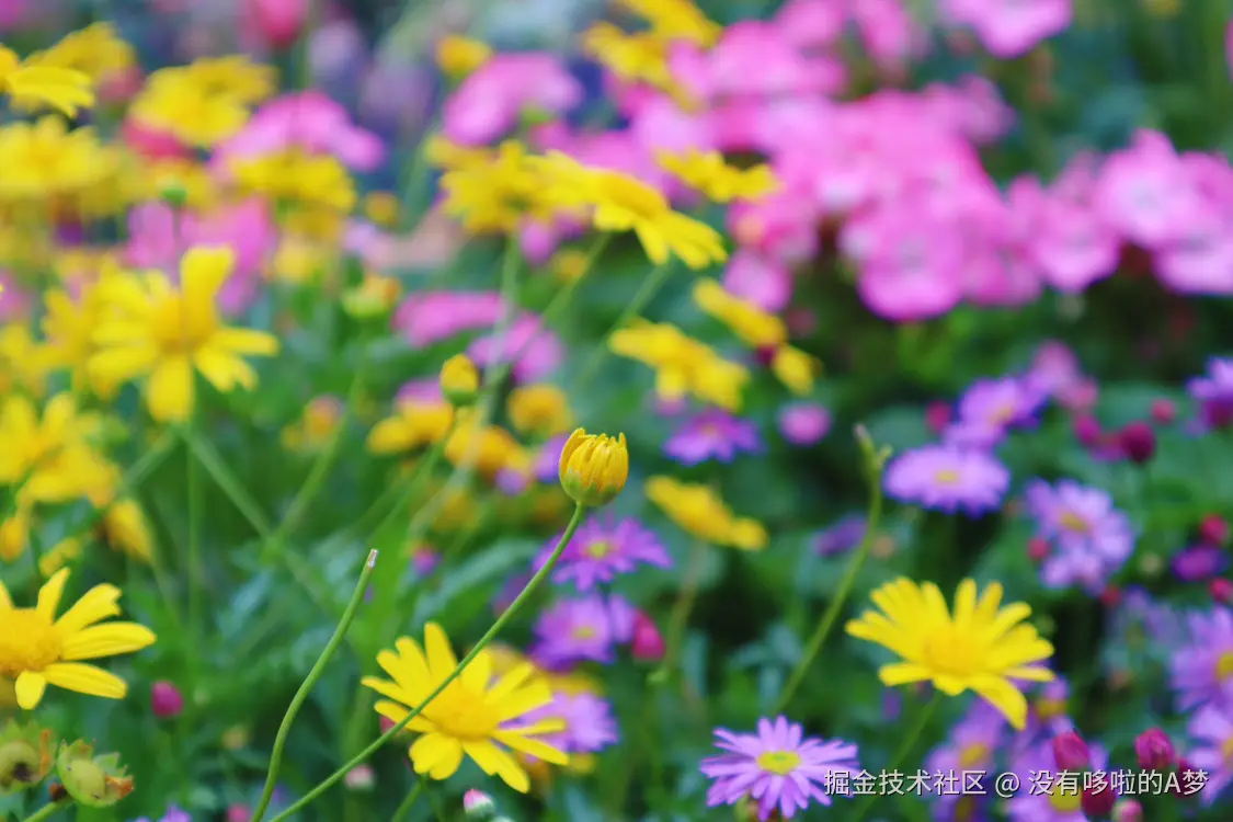 没有哆啦的A梦于2025-03-27 13:46发布的图片