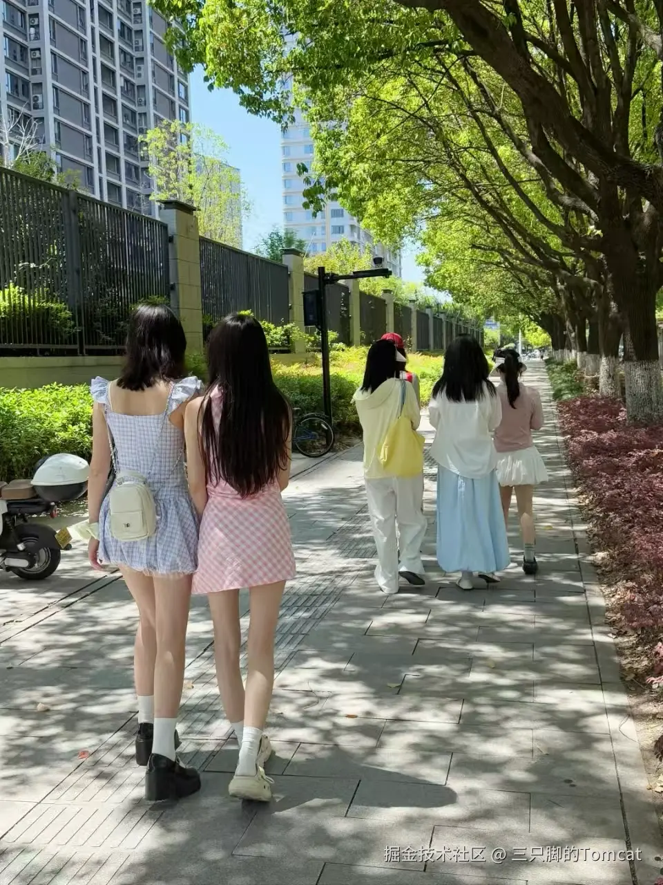 三只脚的Tomcat于2025-04-29 11:00发布的图片