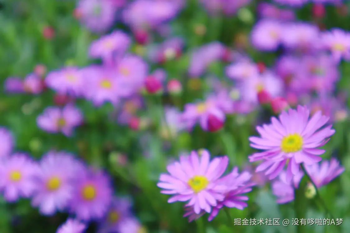 没有哆啦的A梦于2025-03-27 13:46发布的图片