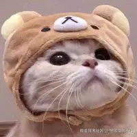 地球没我不行于2025-02-26 10:00发布的图片