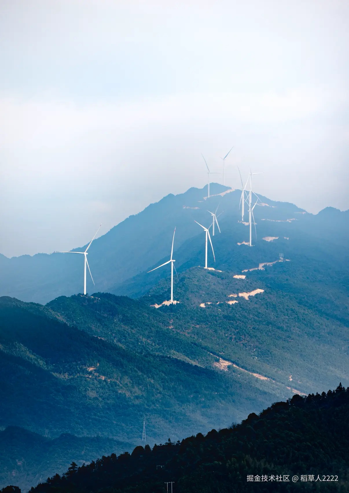 稻草人2222于2026-03-02 15:44发布的图片