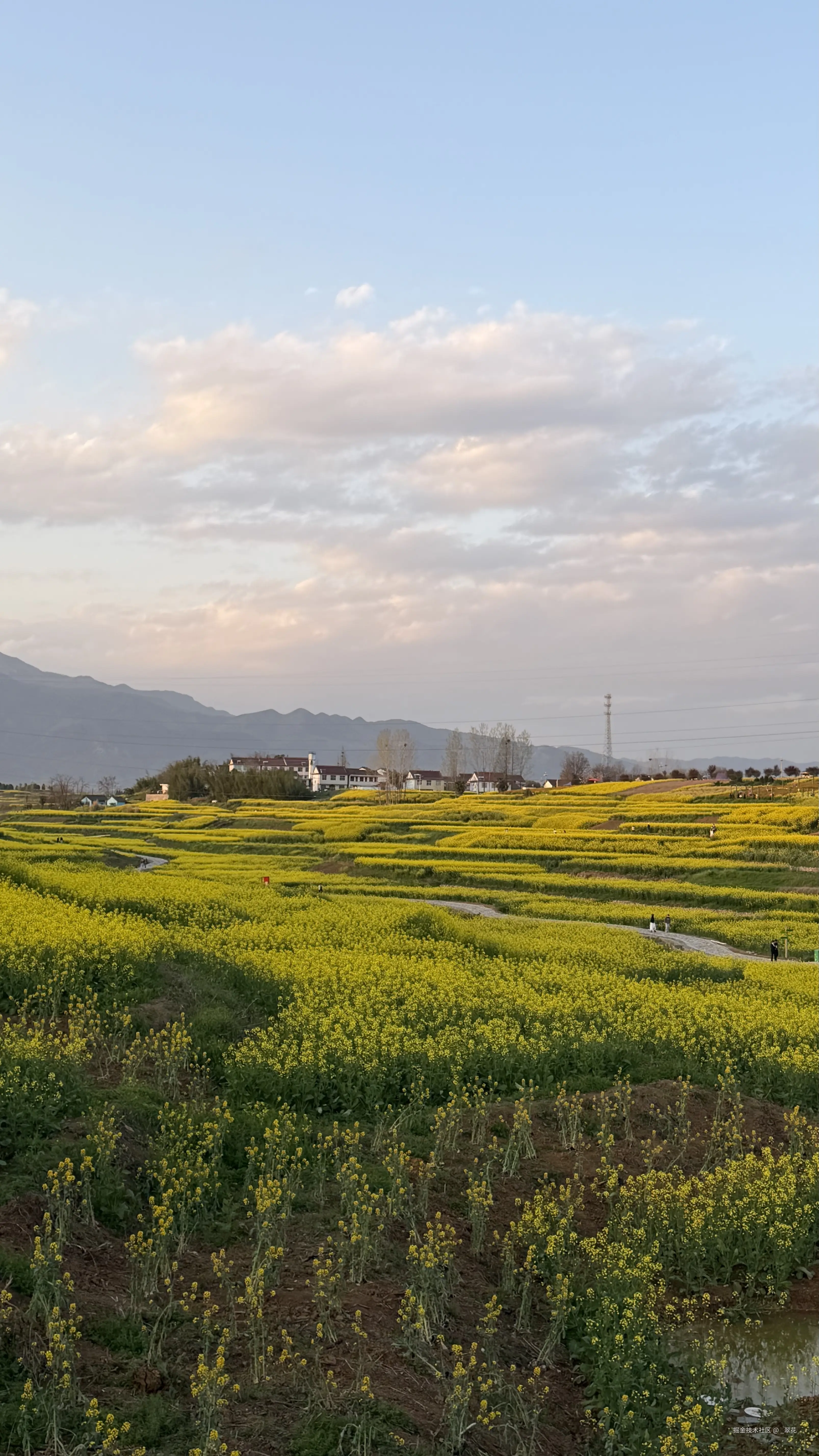 _翠花于2026-03-28 12:39发布的图片