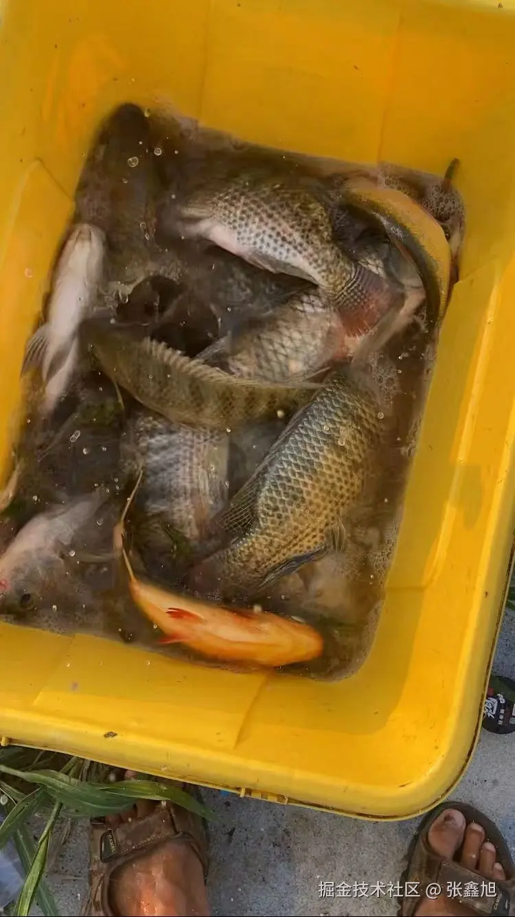 张鑫旭于2024-09-02 15:10发布的图片