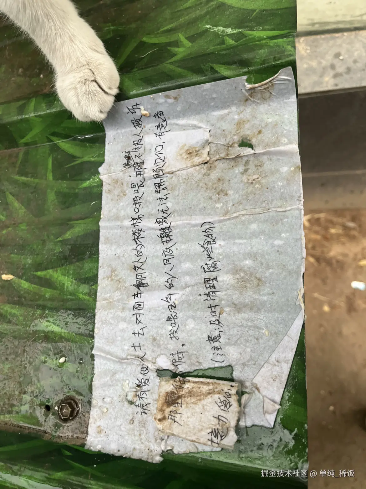 单纯_稀饭于2025-09-10 08:17发布的图片