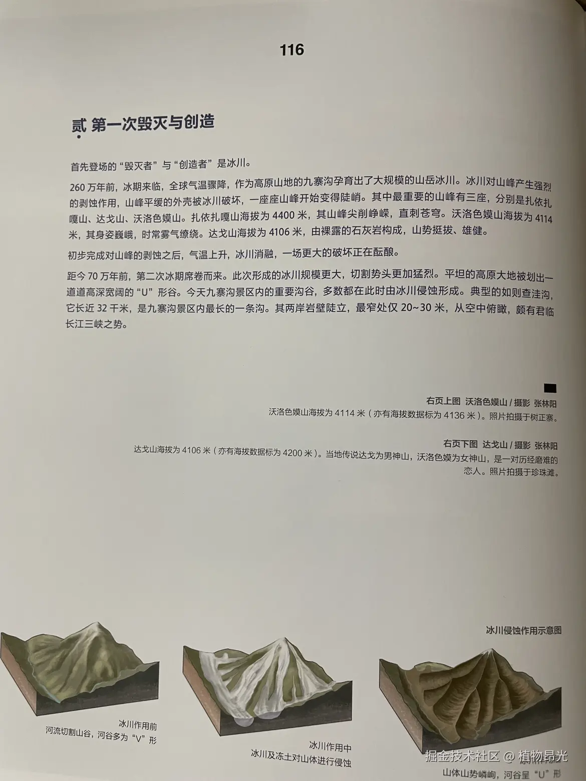 植物昂光于2026-03-10 21:49发布的图片