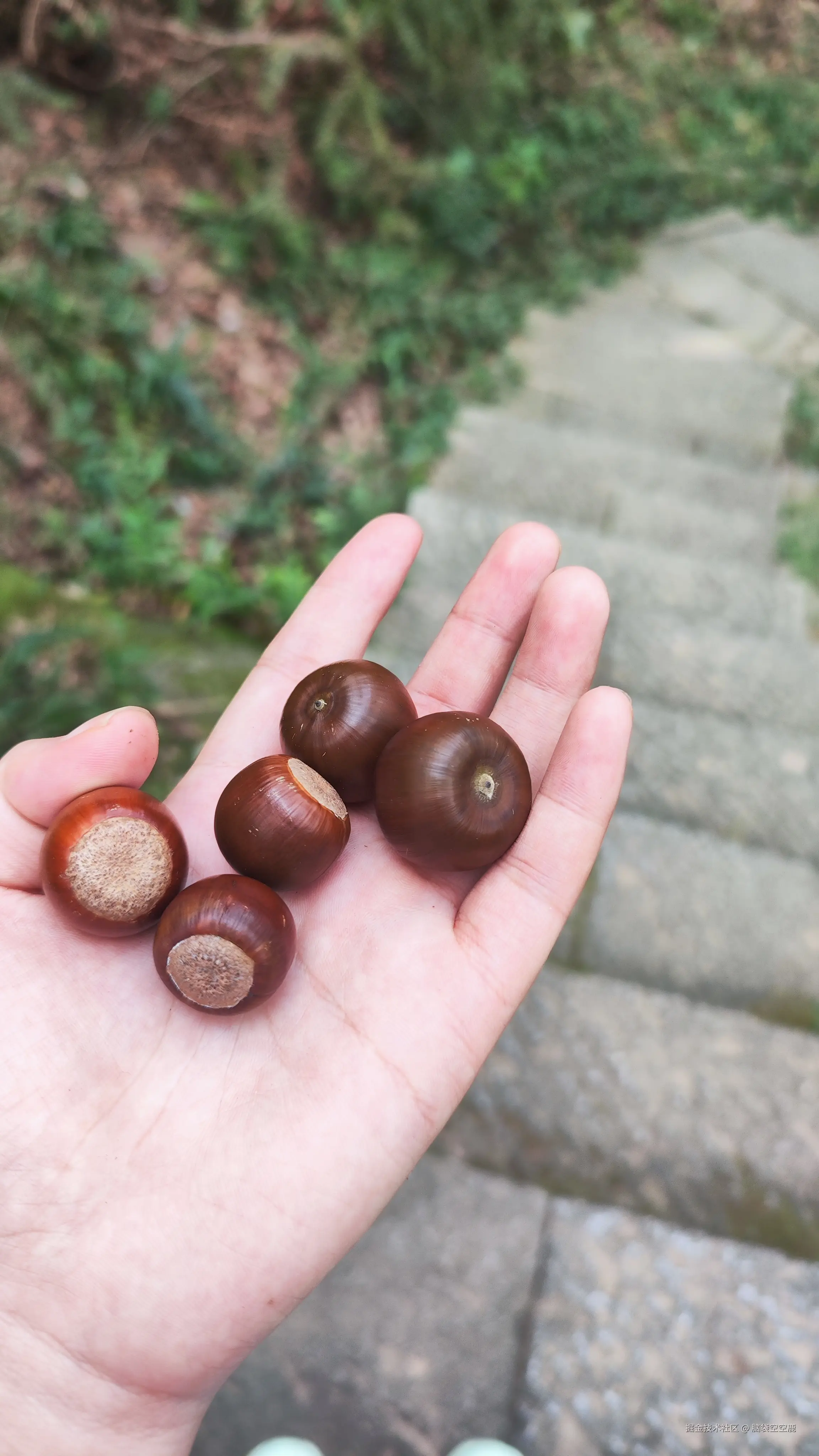 脑袋空空鹿于2025-10-14 11:59发布的图片