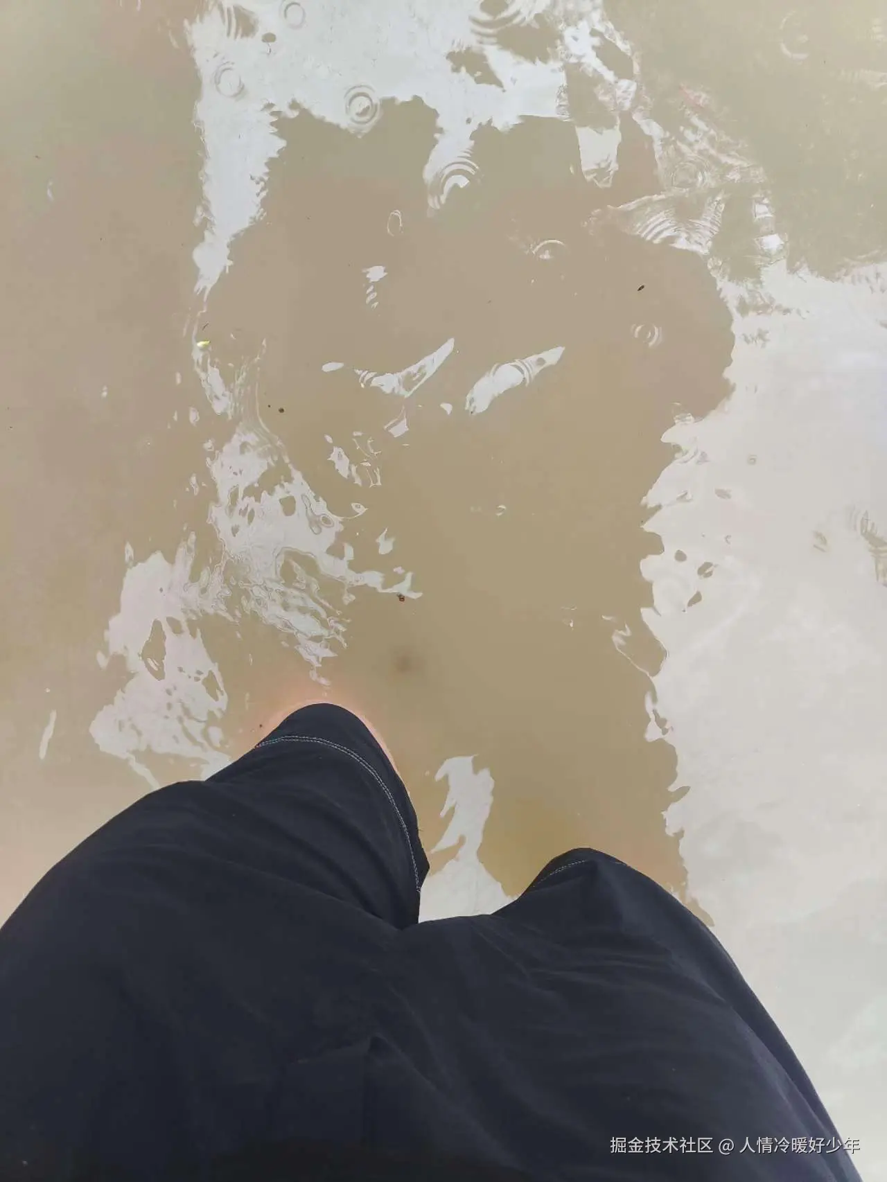 人情冷暖好少年于2024-07-30 11:20发布的图片