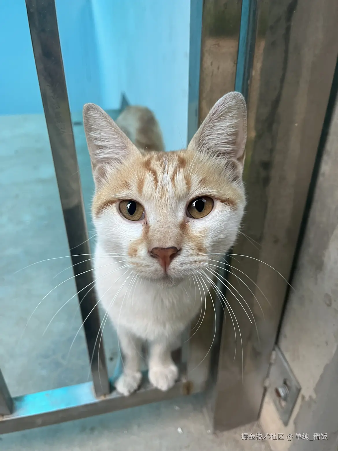 单纯_稀饭于2025-09-10 08:17发布的图片