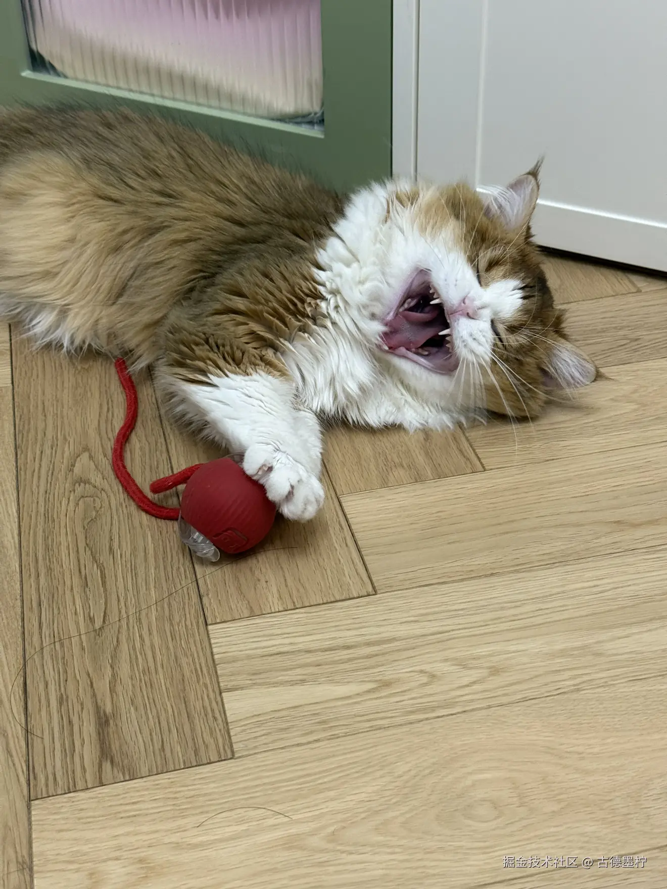 古德墨柠于2025-07-15 08:54发布的图片