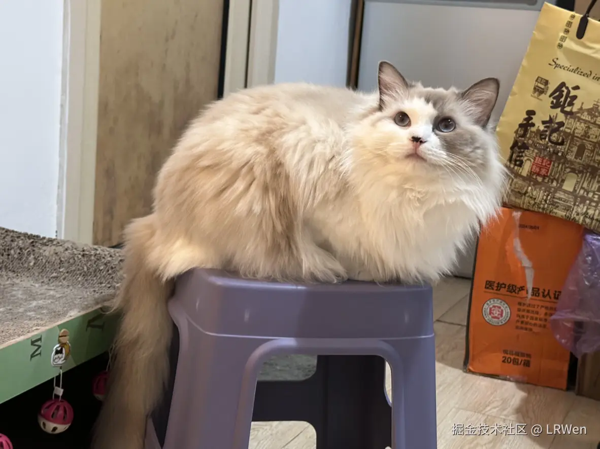 LRWen于2024-11-06 10:03发布的图片