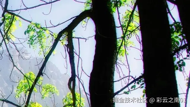 彩云之南01于2025-05-13 15:53发布的图片