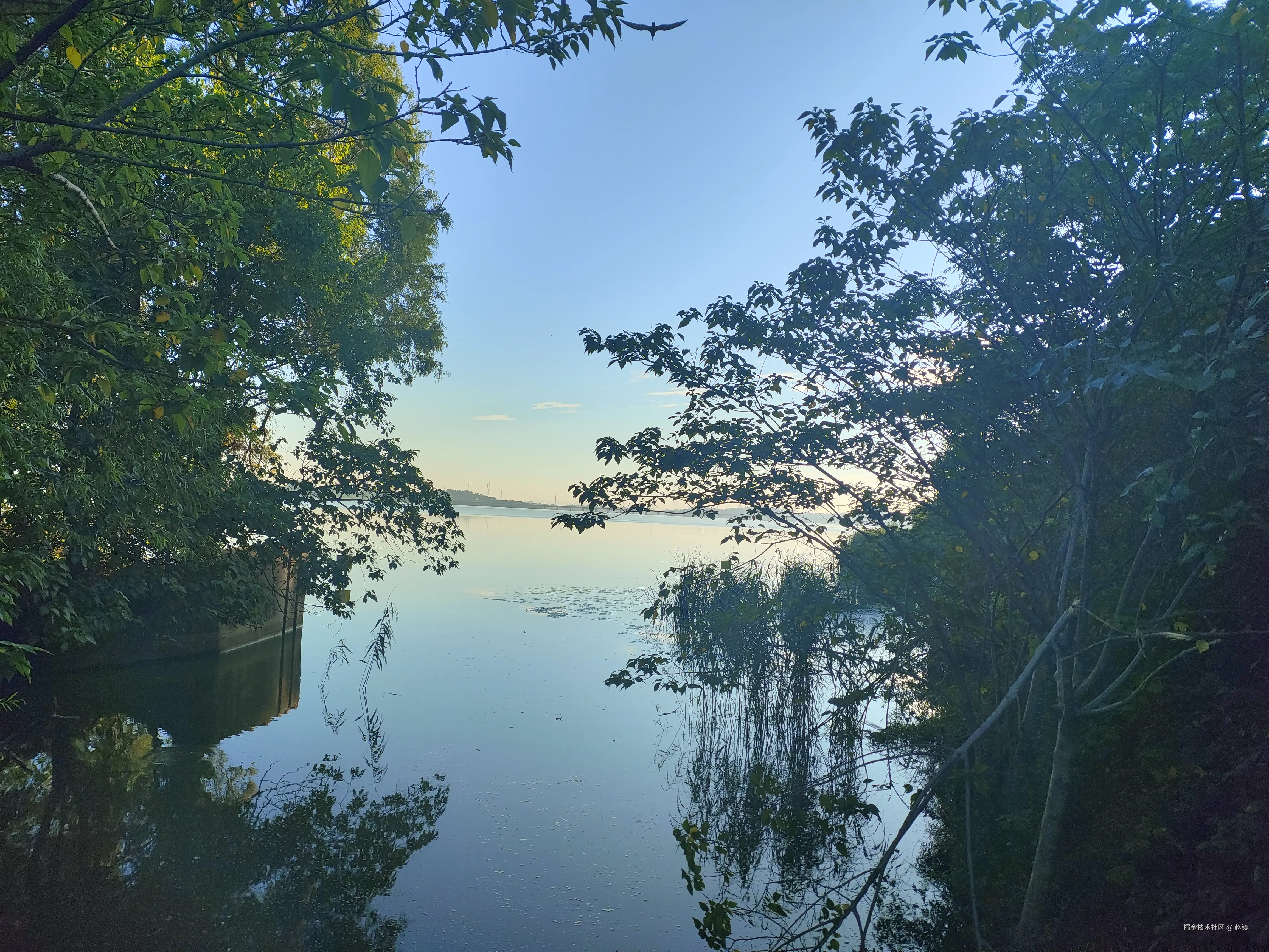 赵镇于2024-07-30 13:31发布的图片