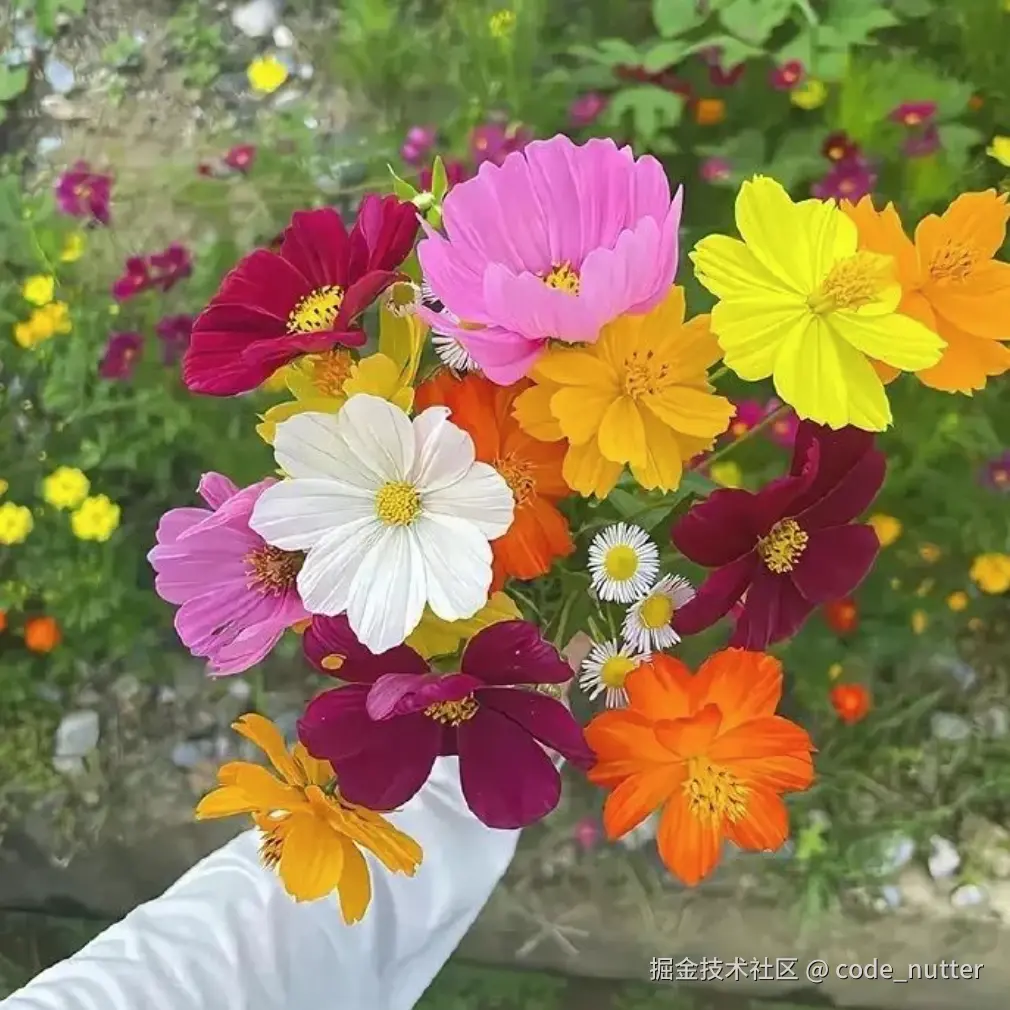 code_nutter于2024-08-22 14:10发布的图片