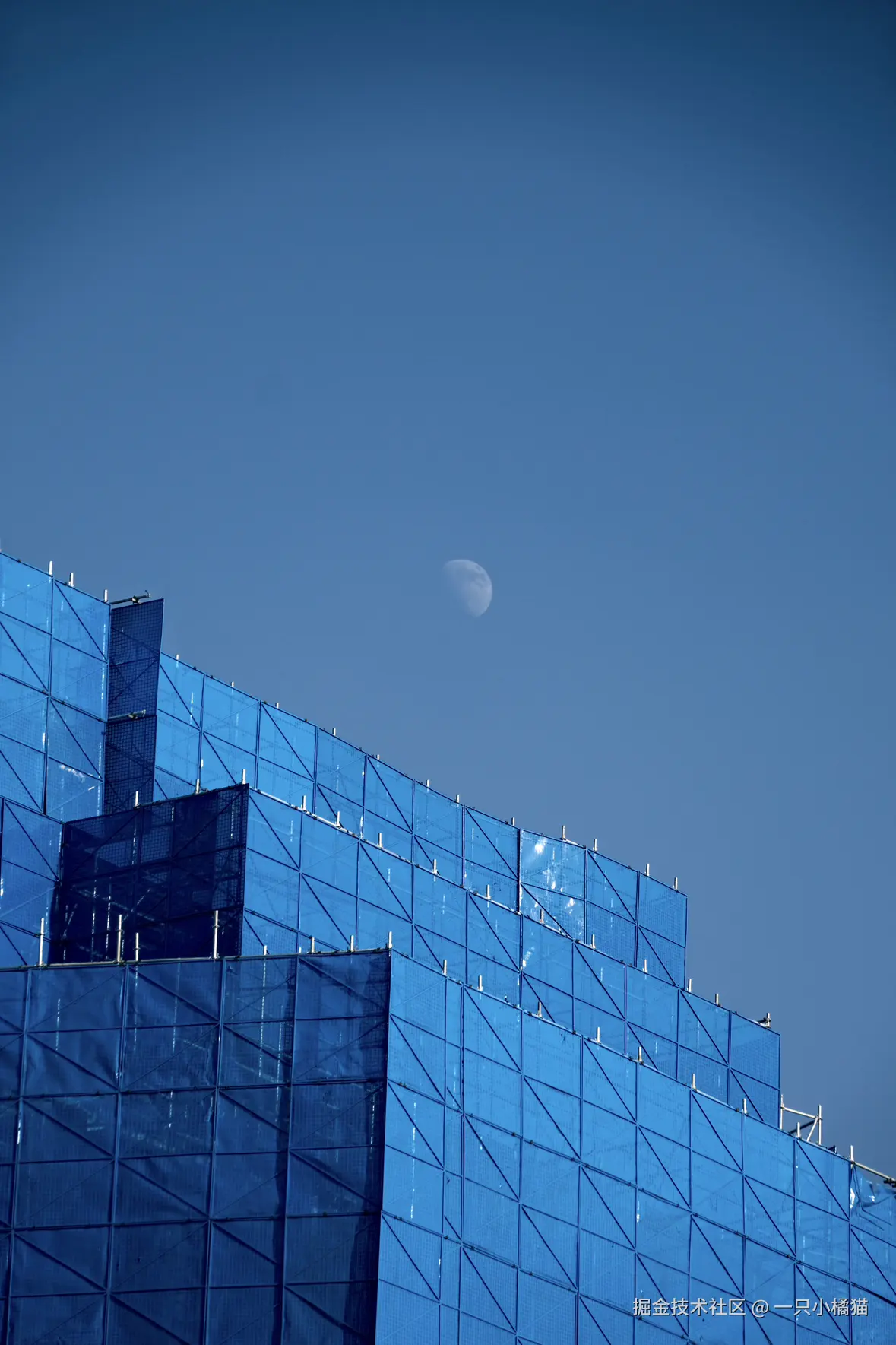 一只小橘猫于2026-01-08 22:30发布的图片