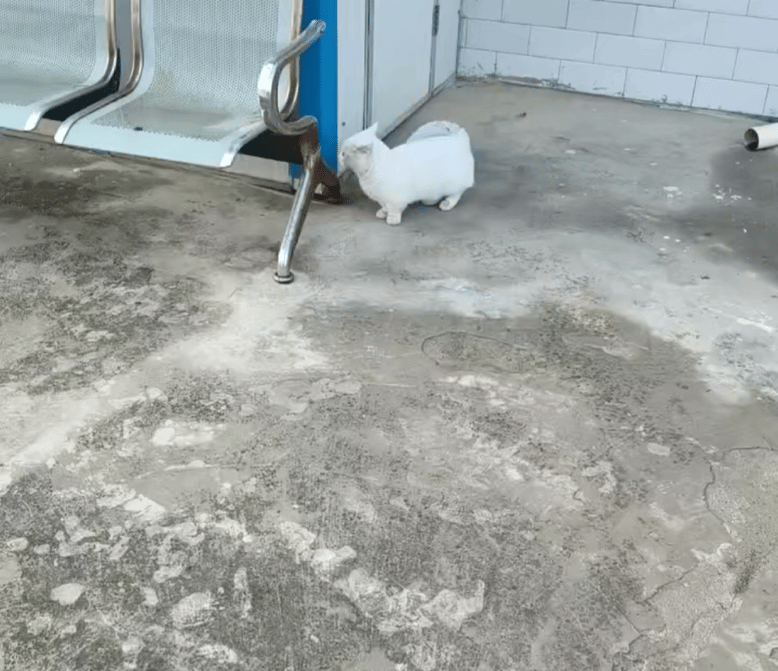 就爱吃火锅于2026-03-09 09:23发布的图片