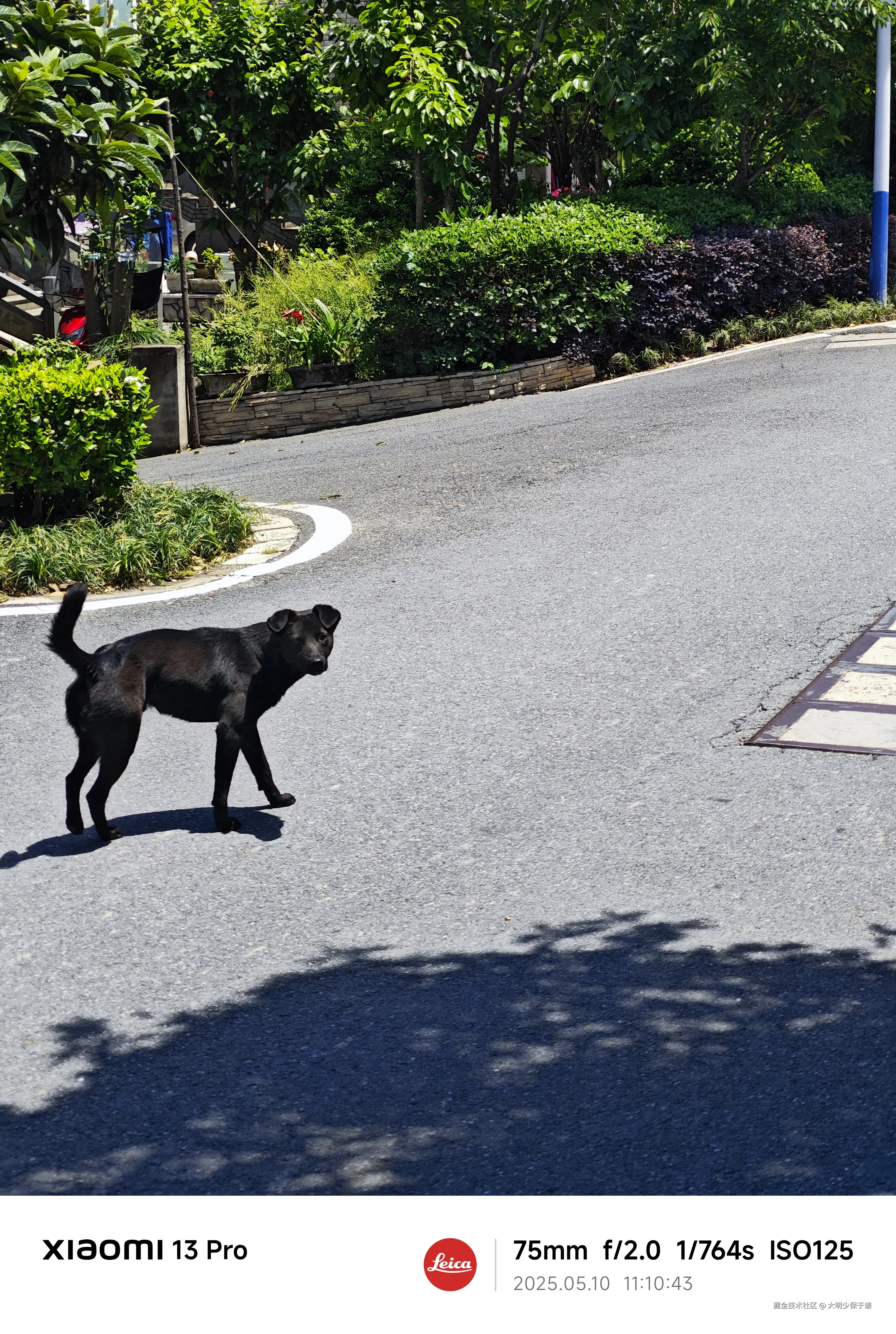 大明少保于谦于2025-05-12 09:51发布的图片