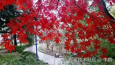 生活感想