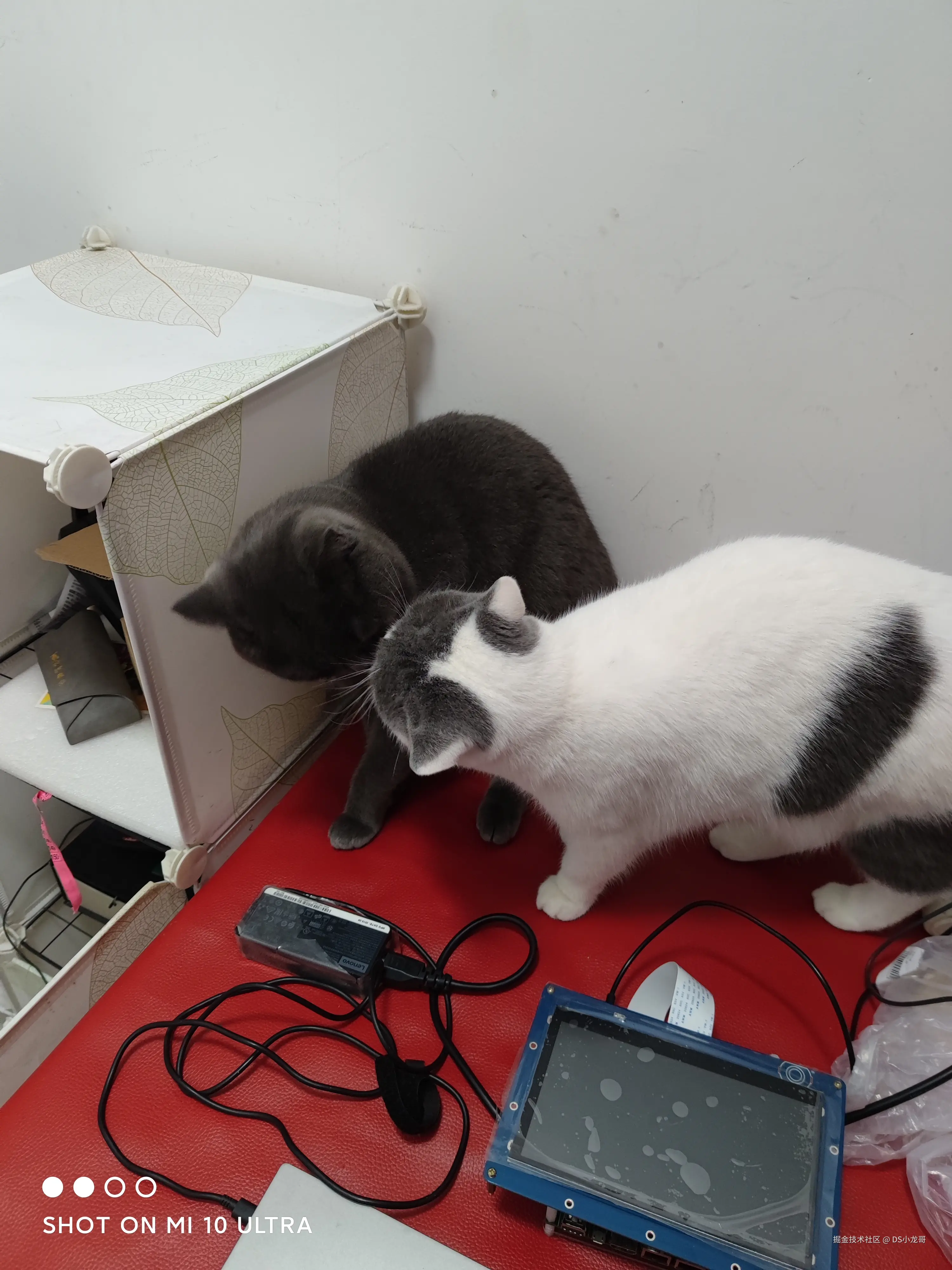 DS小龙哥于2025-07-14 07:26发布的图片