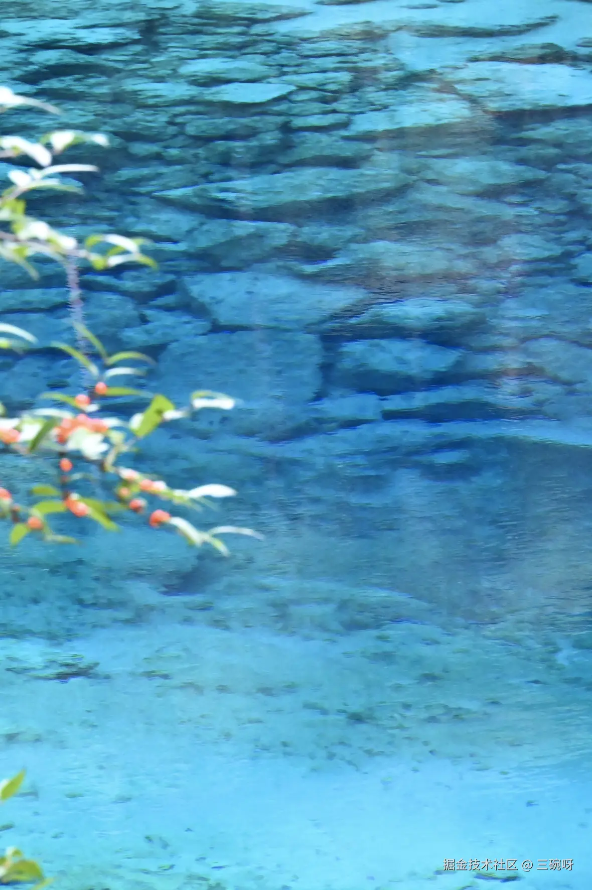 三碗呀于2025-11-19 16:23发布的图片