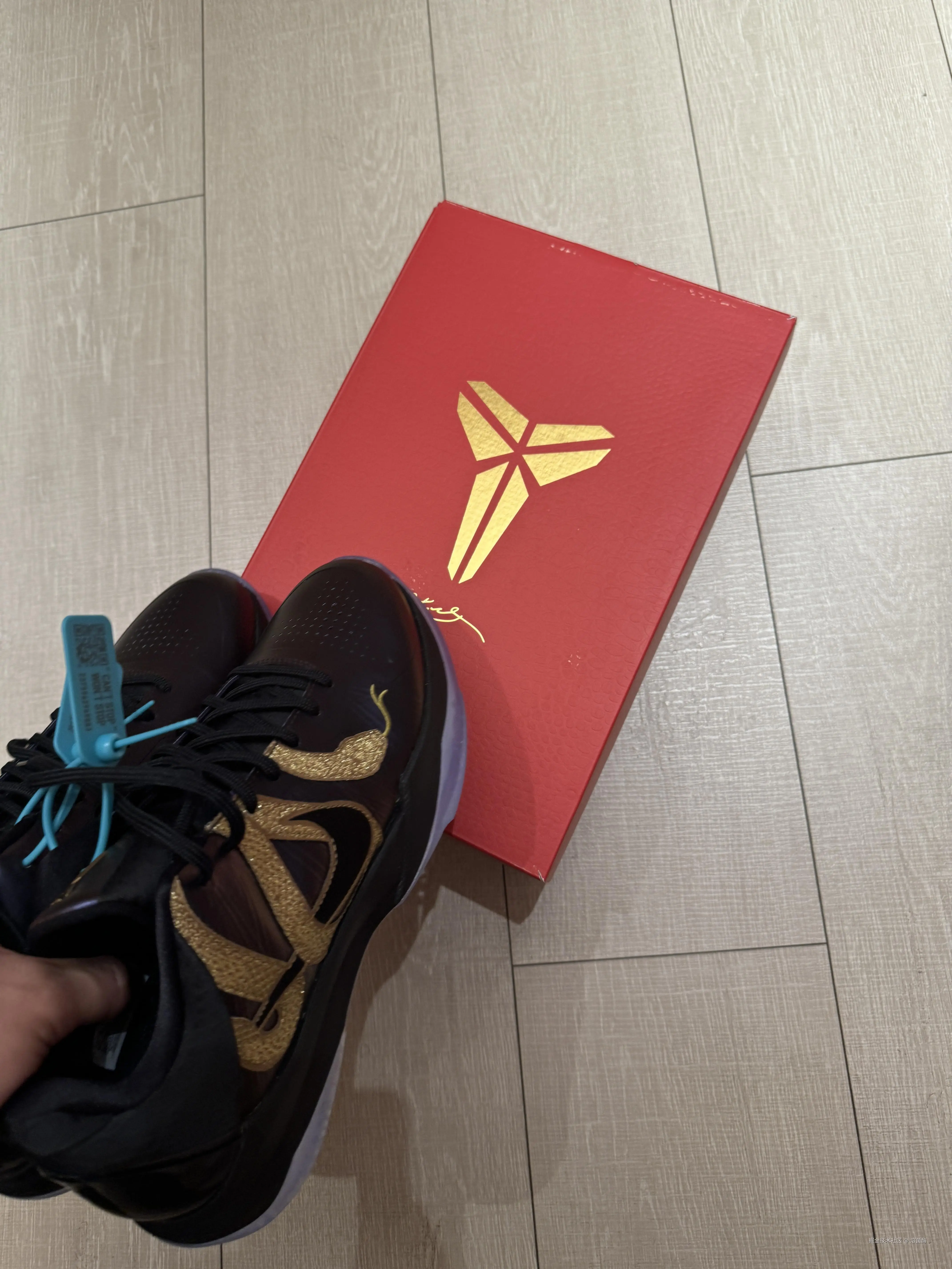 溶菌酶于2025-11-18 13:41发布的图片