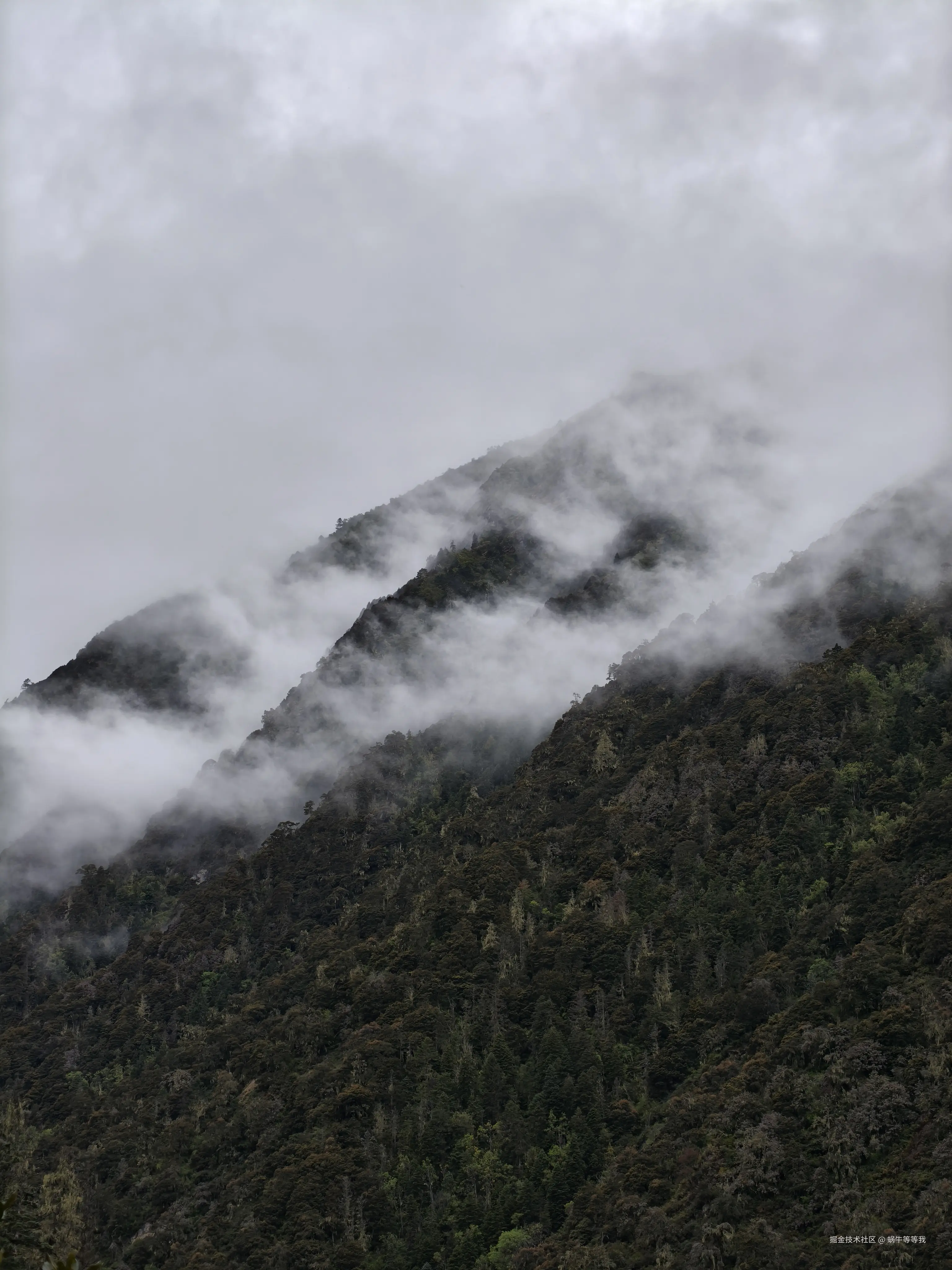 蜗牛等等我于2025-10-09 01:03发布的图片