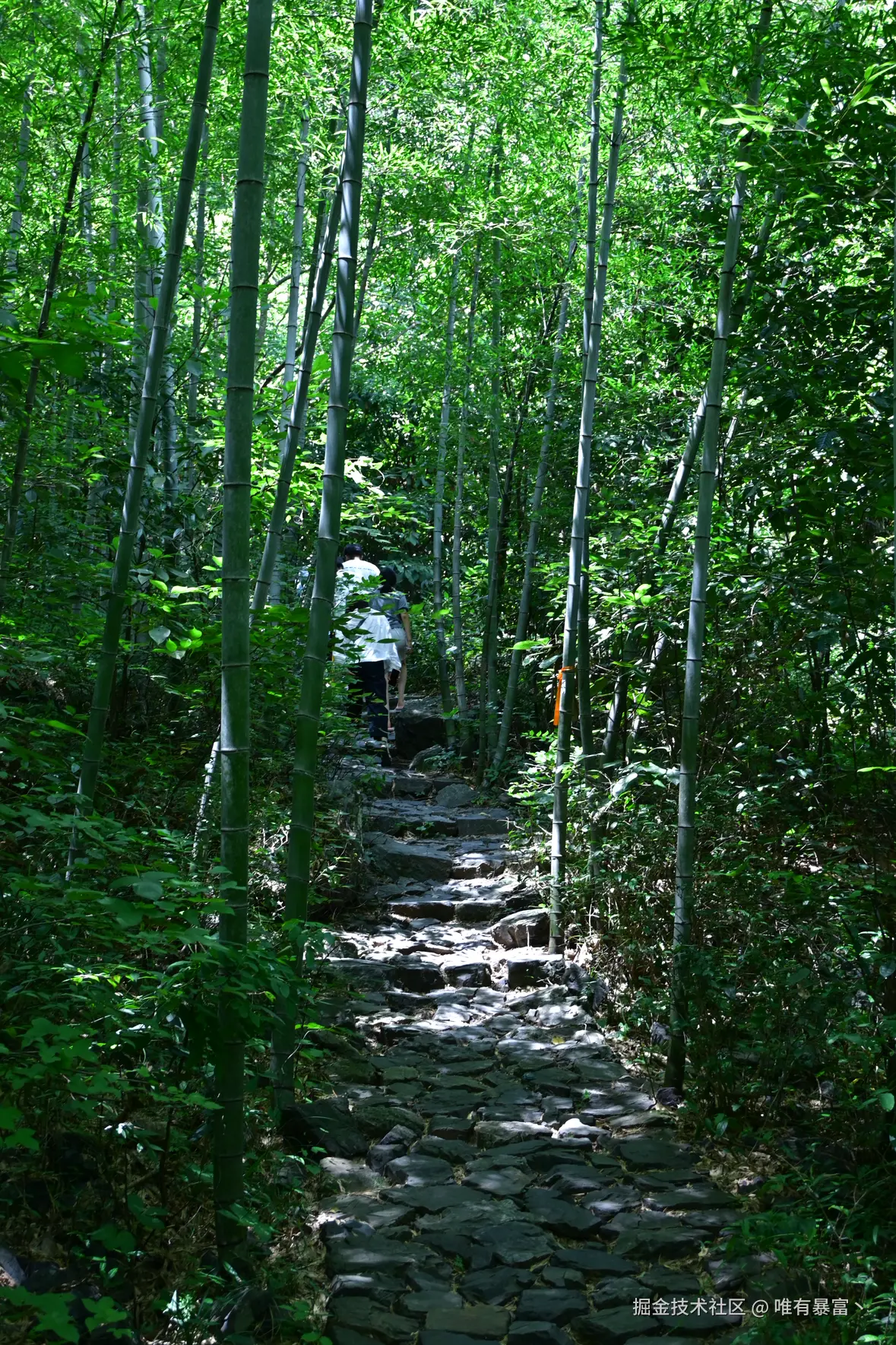 唯有暴富丶于2025-08-11 11:12发布的图片