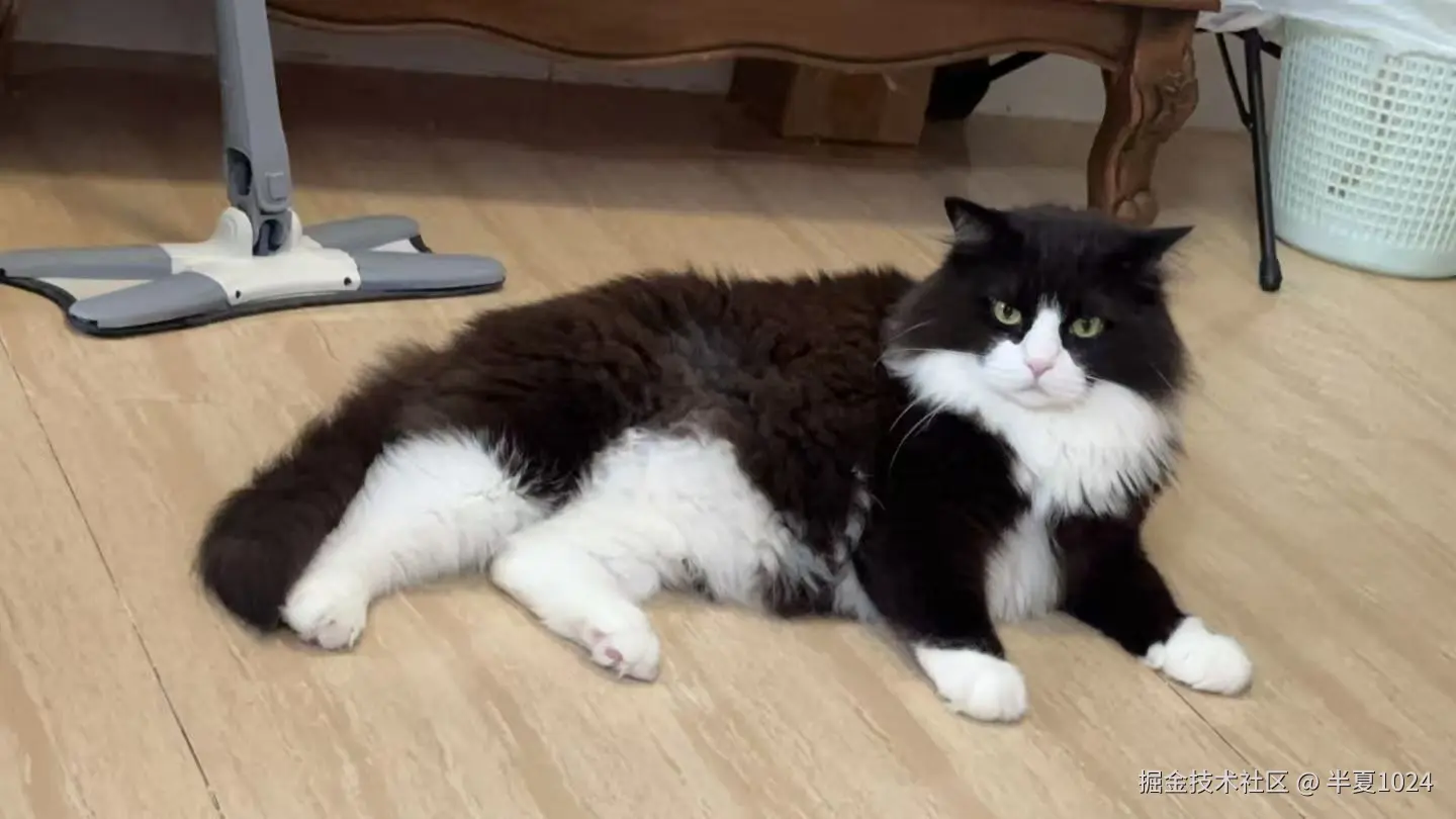 半夏1024于2025-09-11 13:54发布的图片