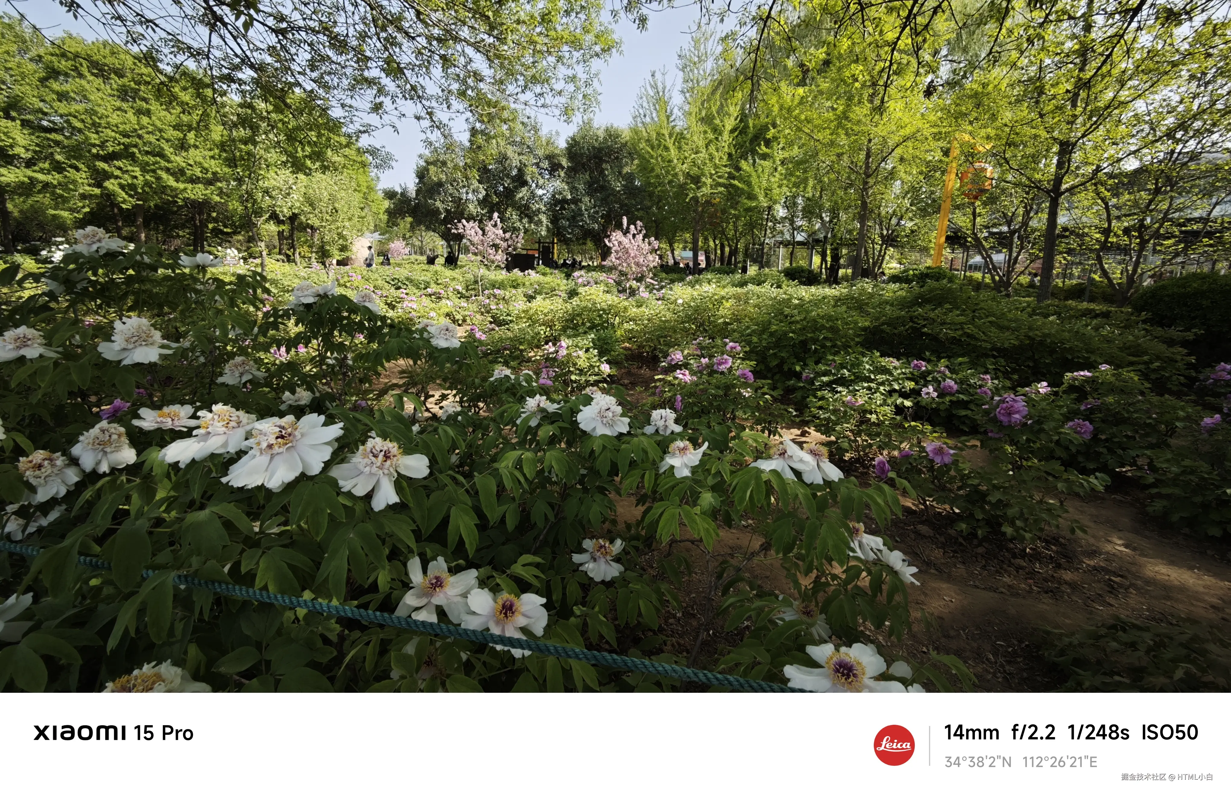 HTML小白于2025-04-07 17:27发布的图片