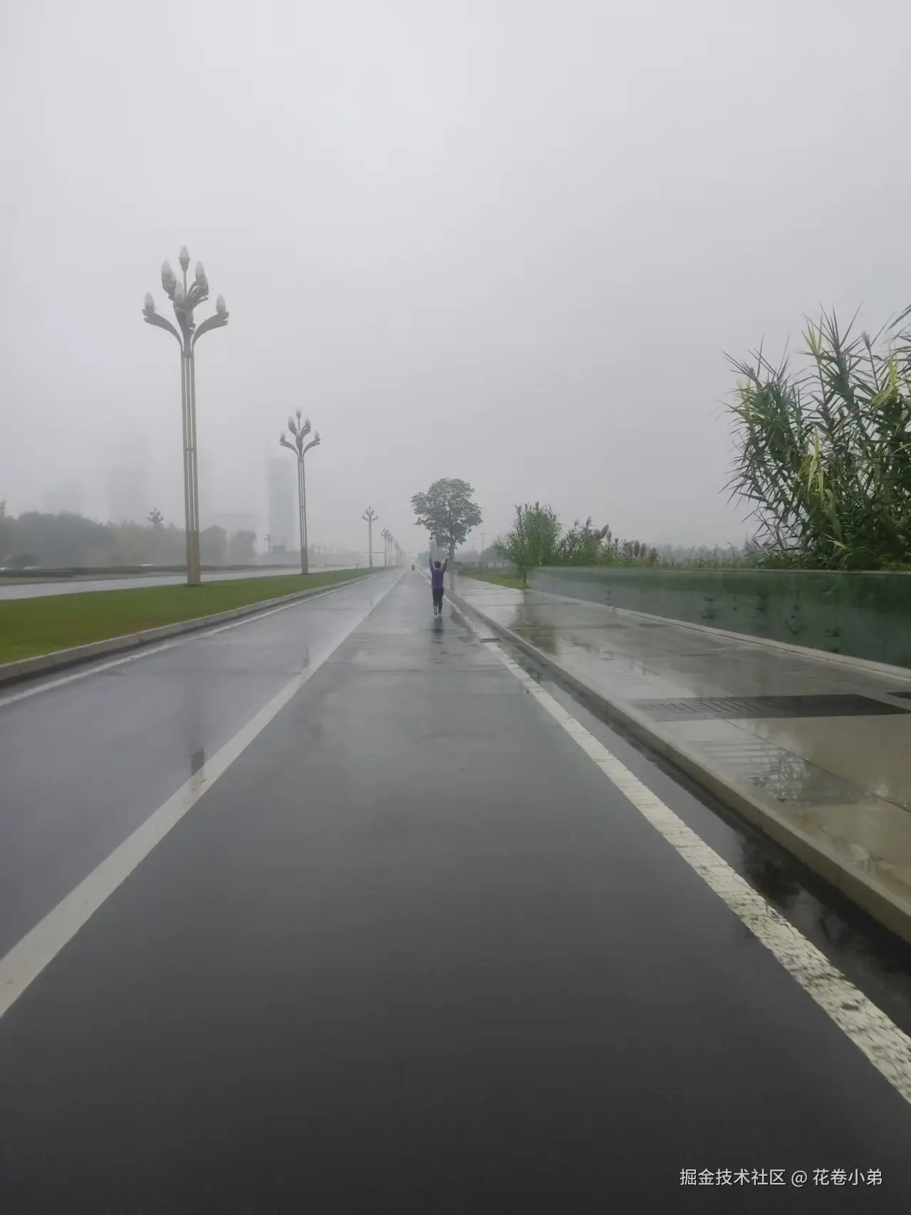 花卷小弟于2024-11-26 05:54发布的图片