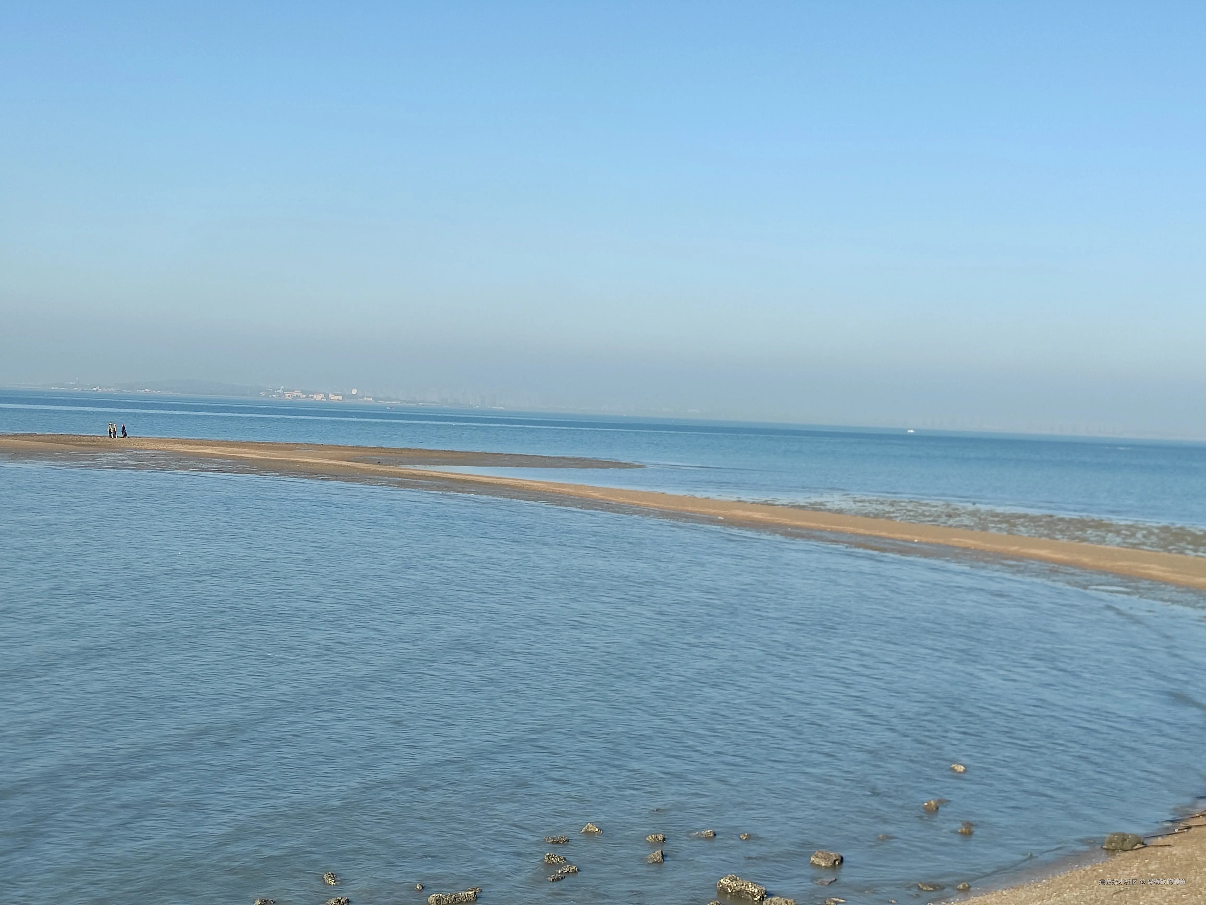 穿裤衩的鲸鱼于2024-11-05 11:28发布的图片