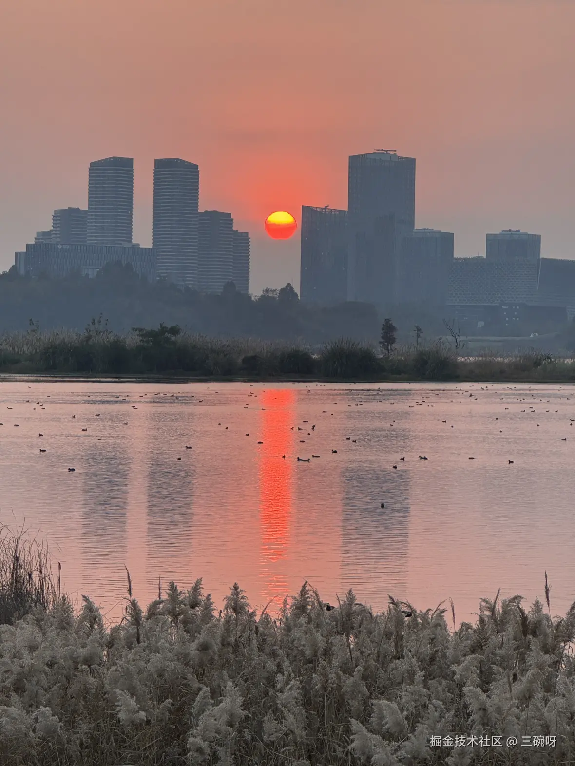 三碗呀于2024-12-23 10:13发布的图片